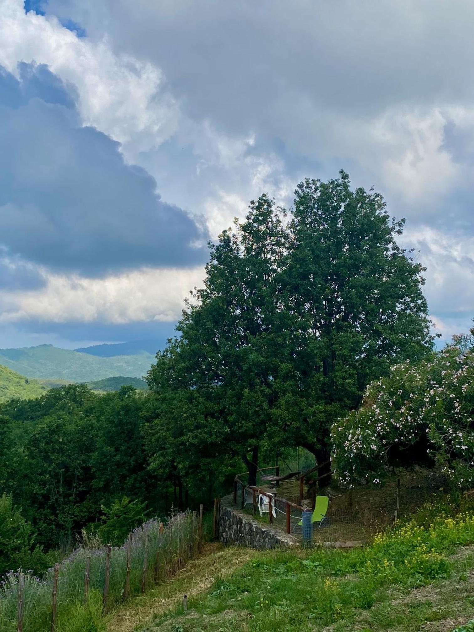 Agros