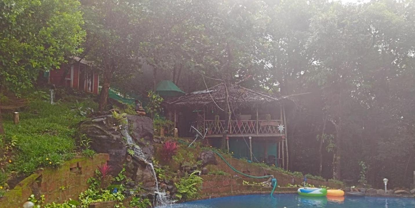 Regina Silva Jungle Resort view 5
