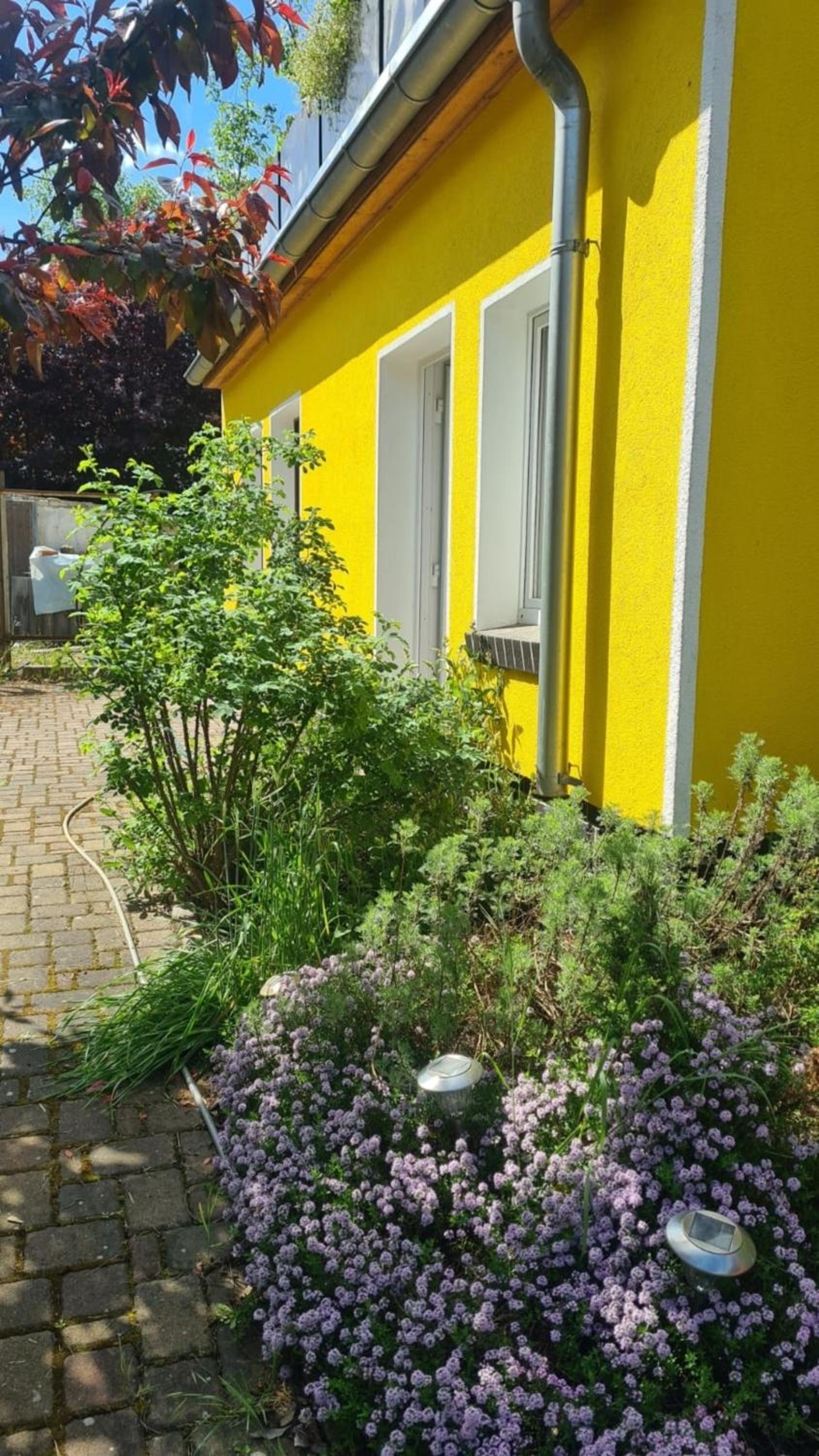 Natur an Metropole