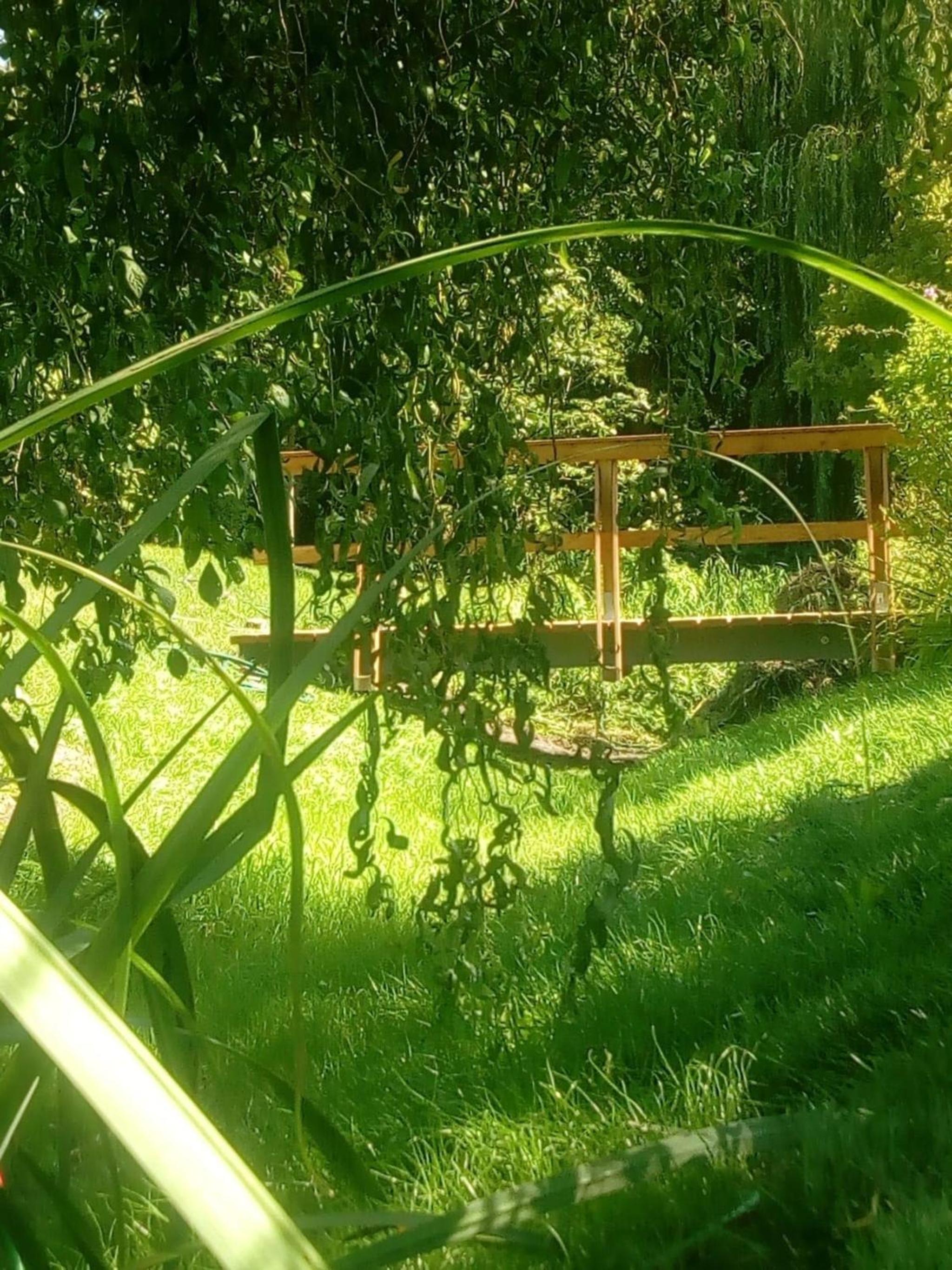 Natur an Metropole