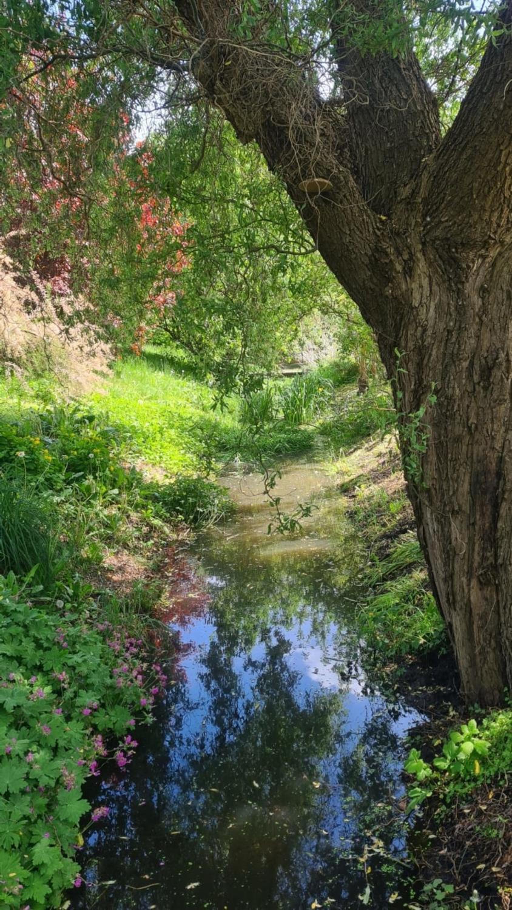 Natur an Metropole