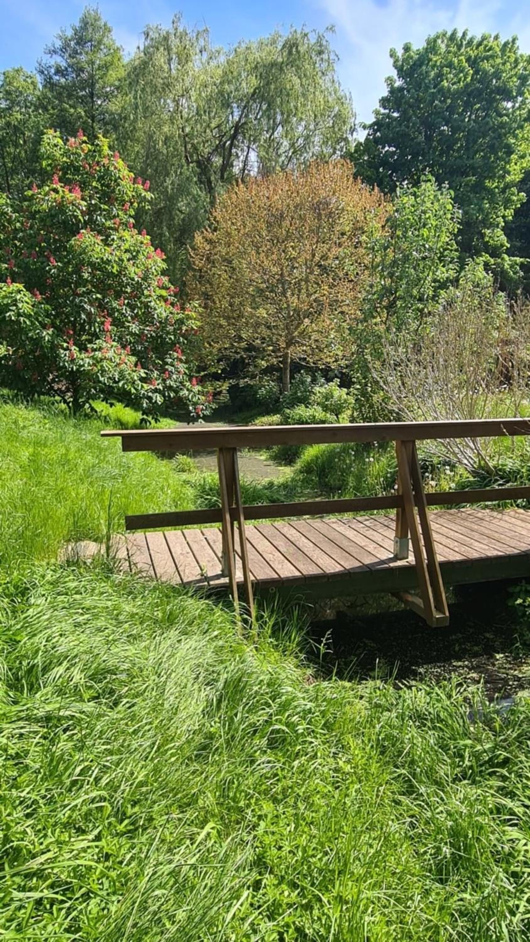 Natur an Metropole