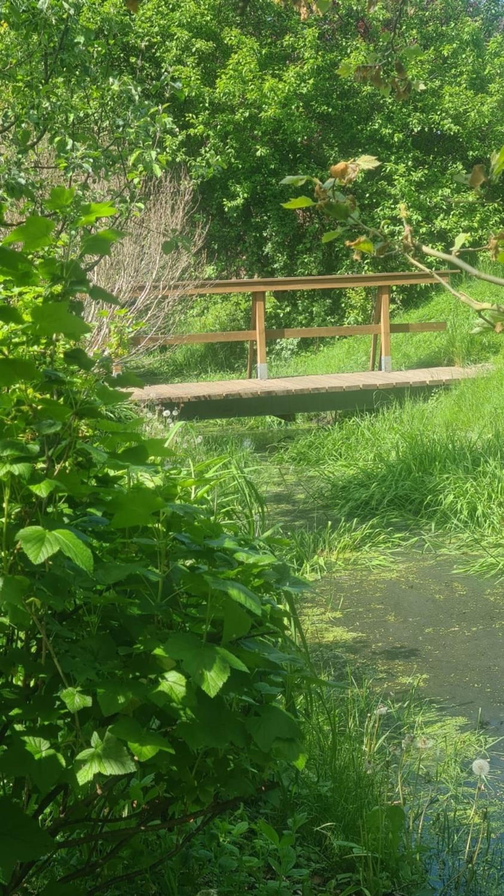 Natur an Metropole