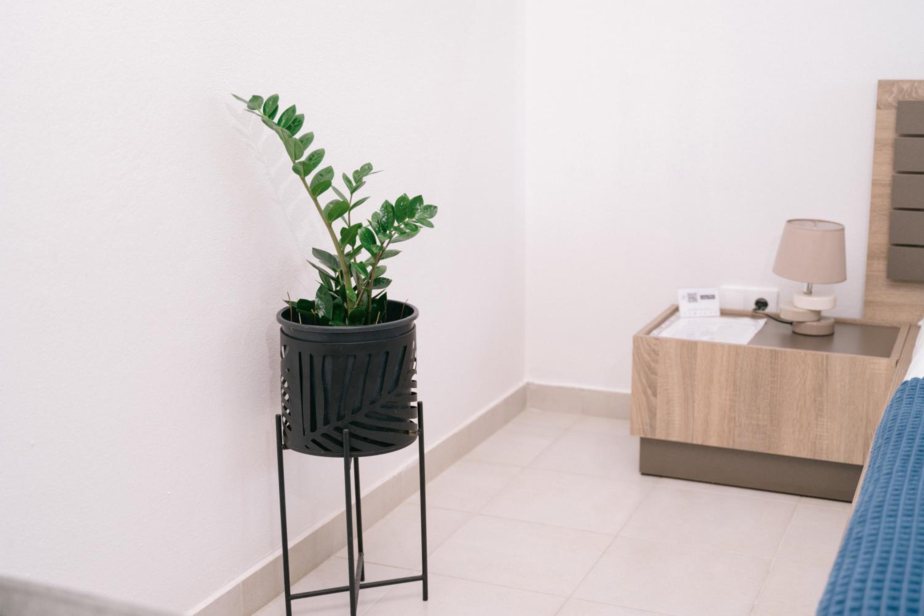 Apartments Lungo Mare Ulcinj