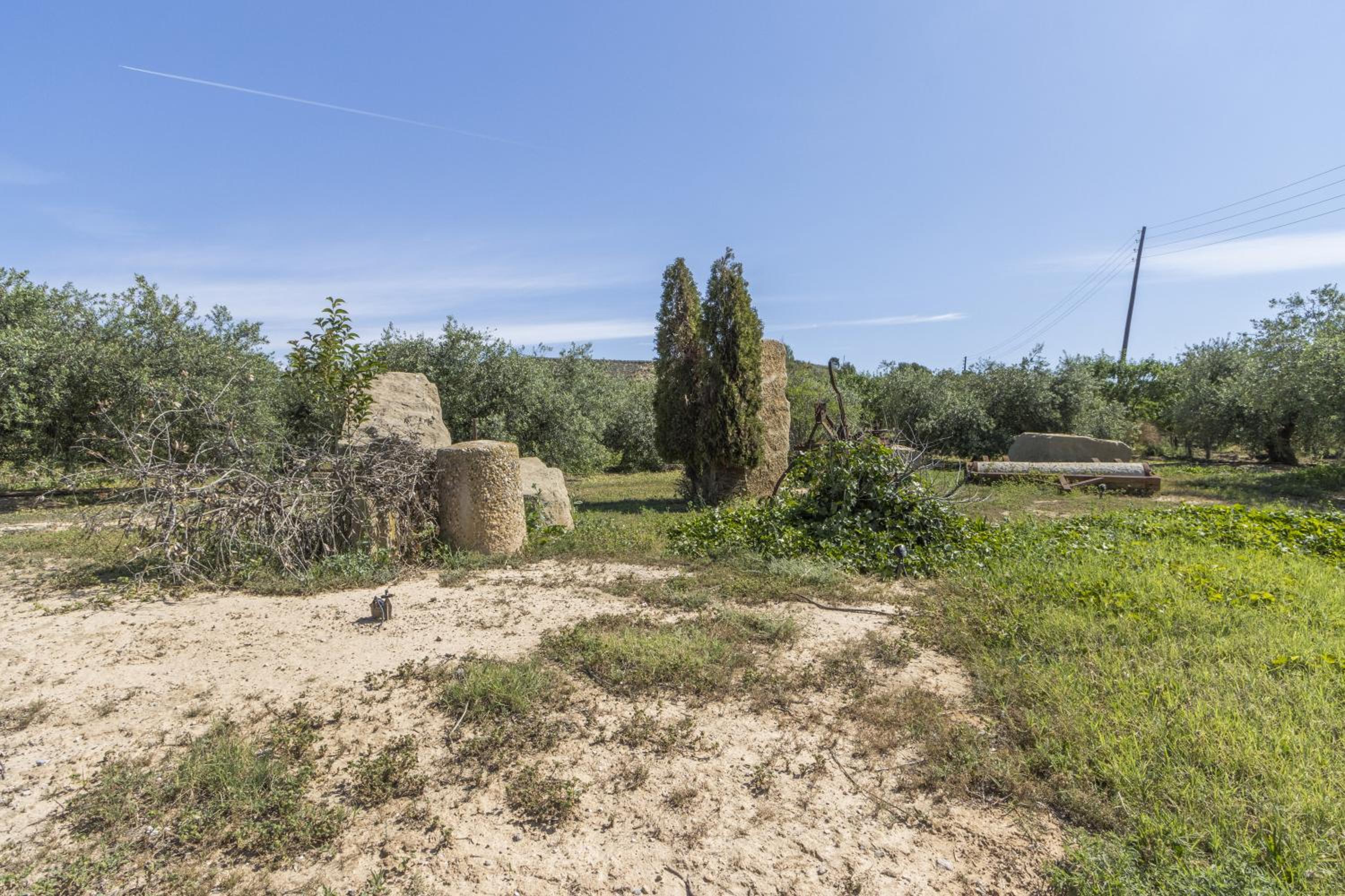 Mas de l' Anneta photo 3