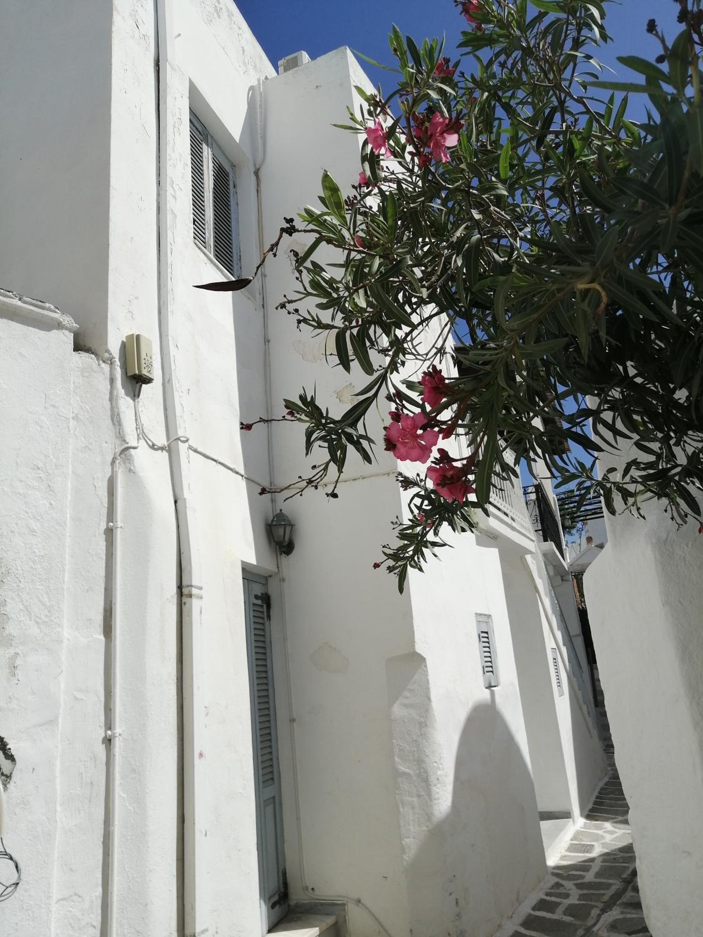 Paros Paroikia Apartment