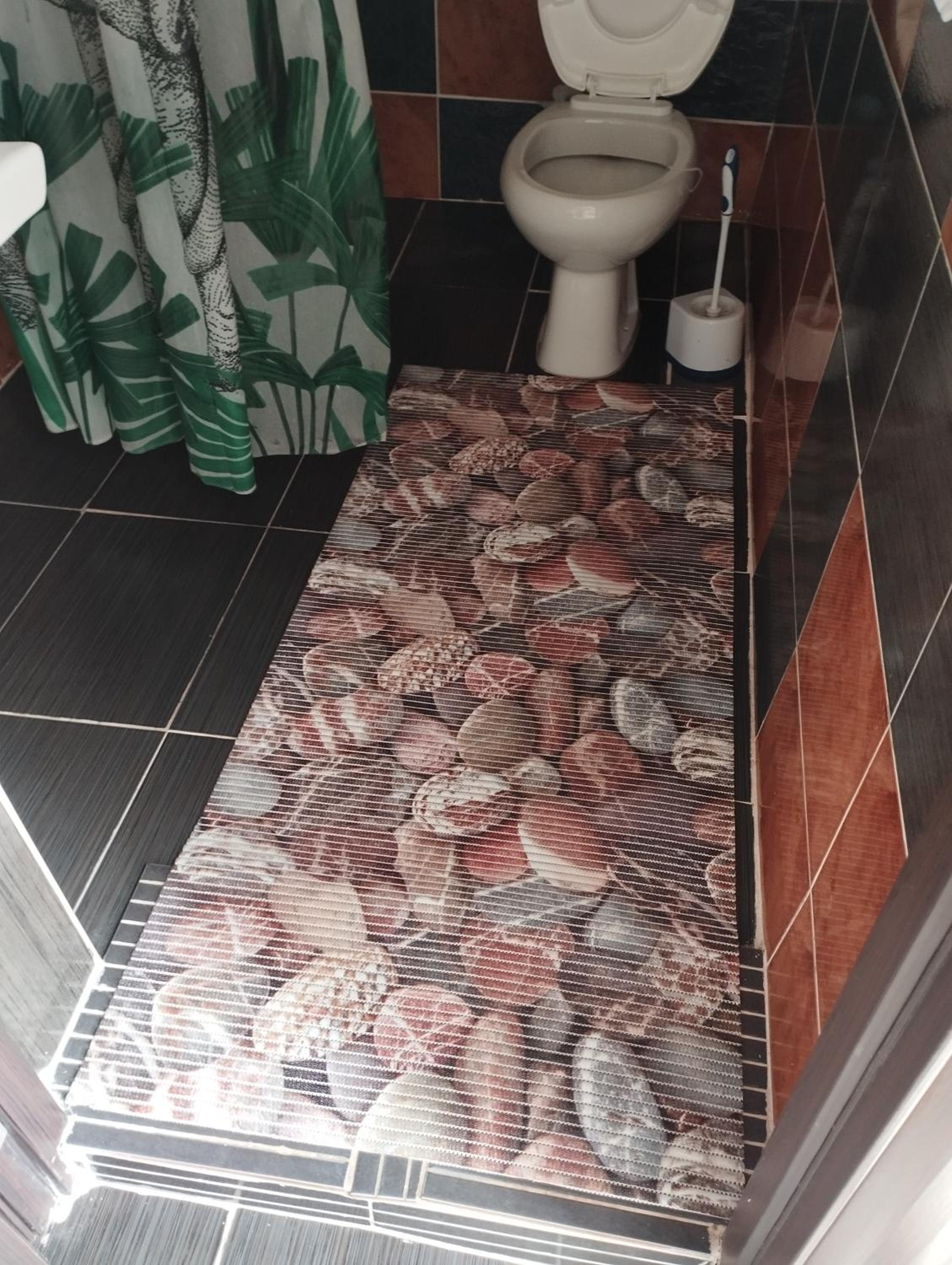 apartman Dragic