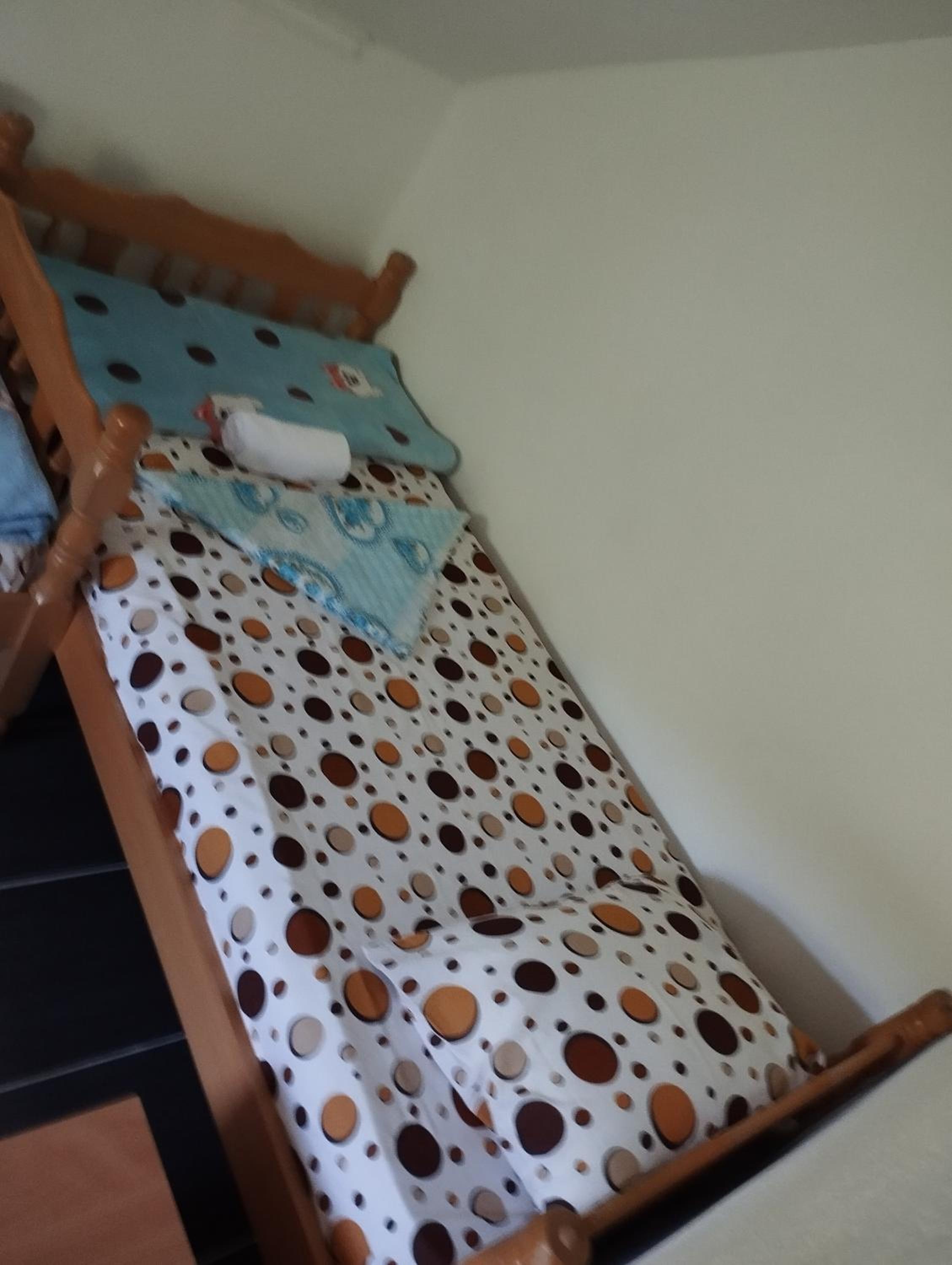 apartman Dragic