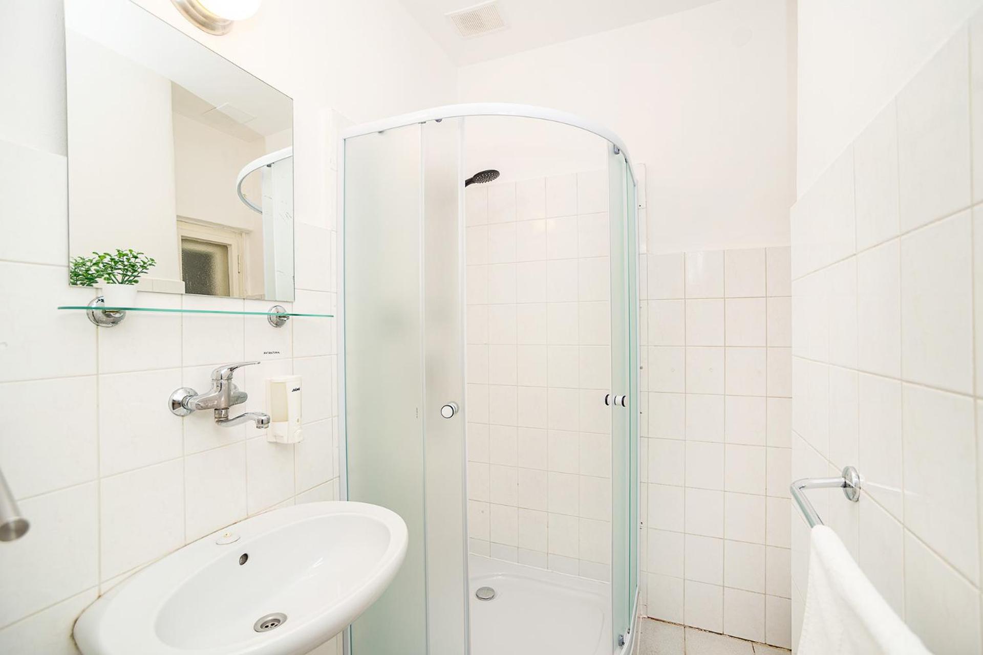 Flat in Zizkov -403-