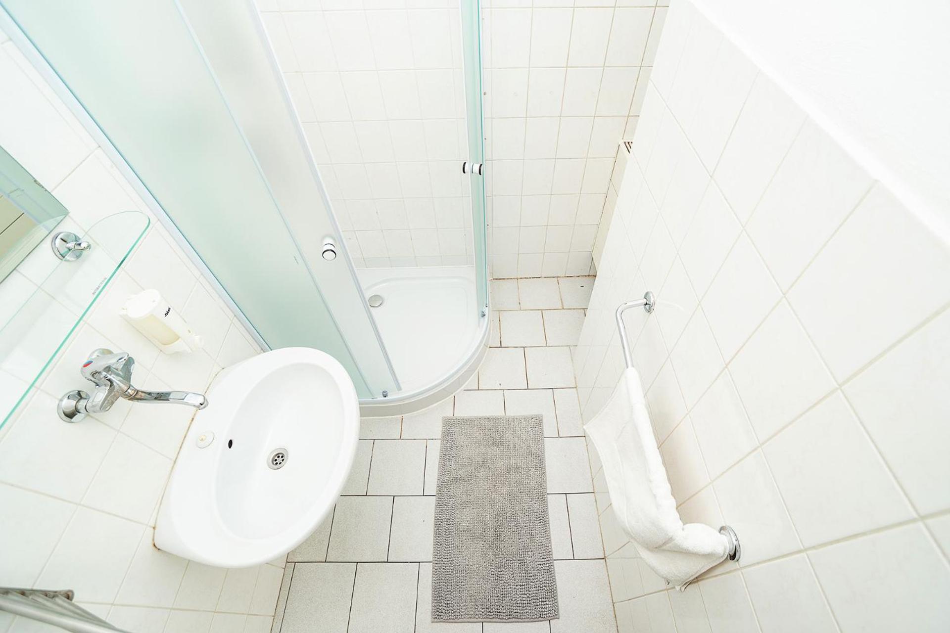 Flat in Zizkov -403-
