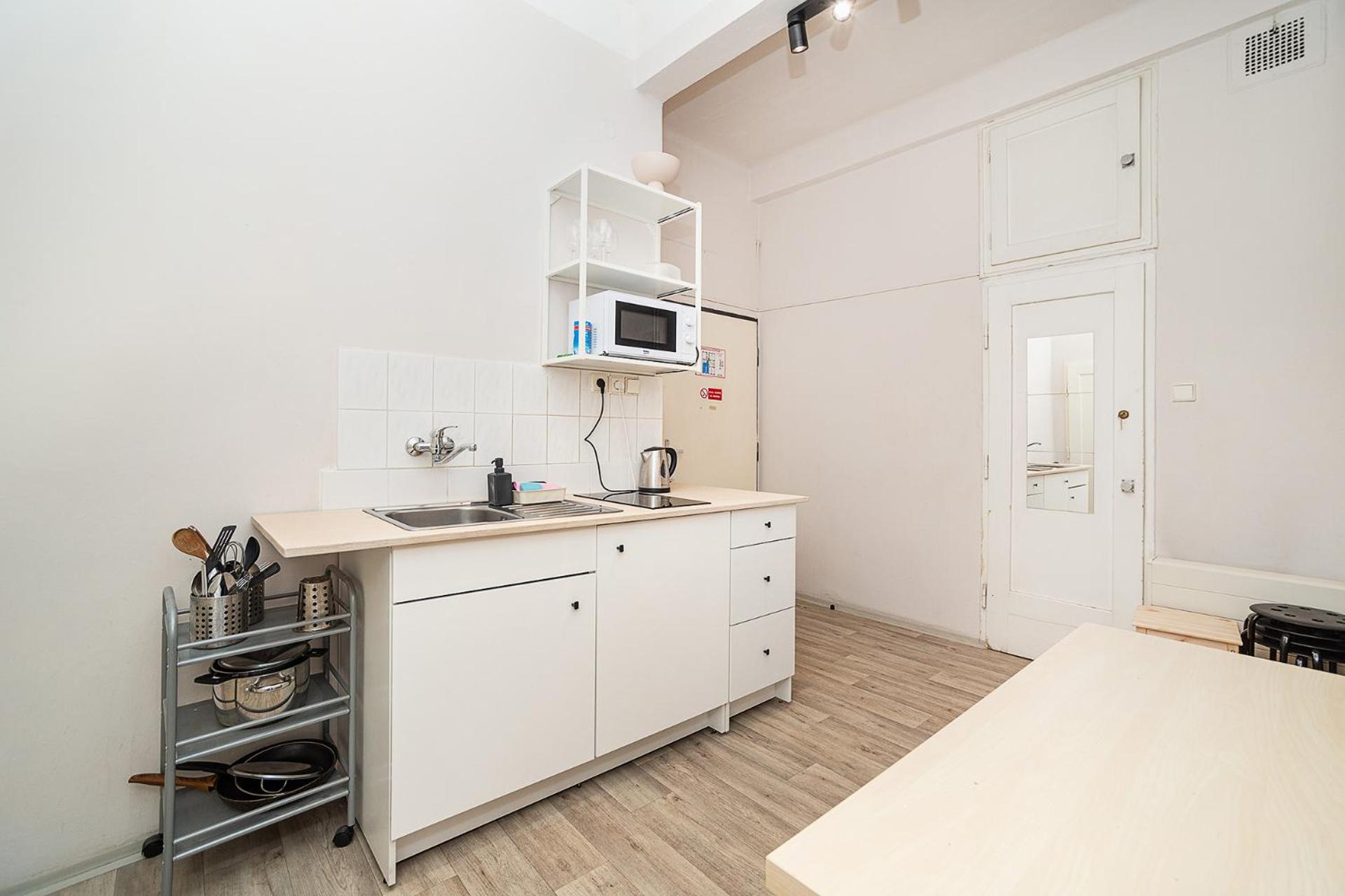 Flat in Zizkov -403-