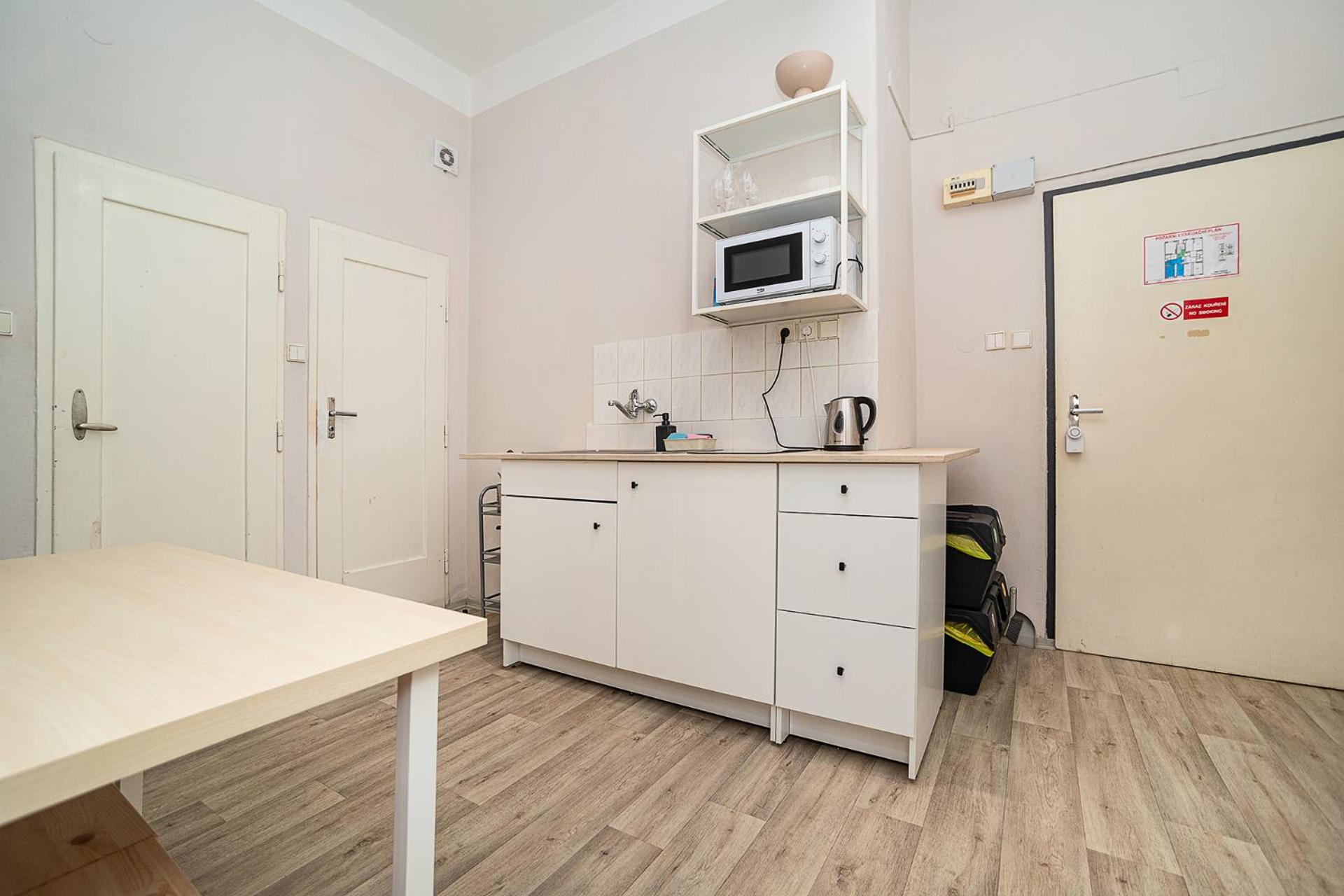 Flat in Zizkov -403-