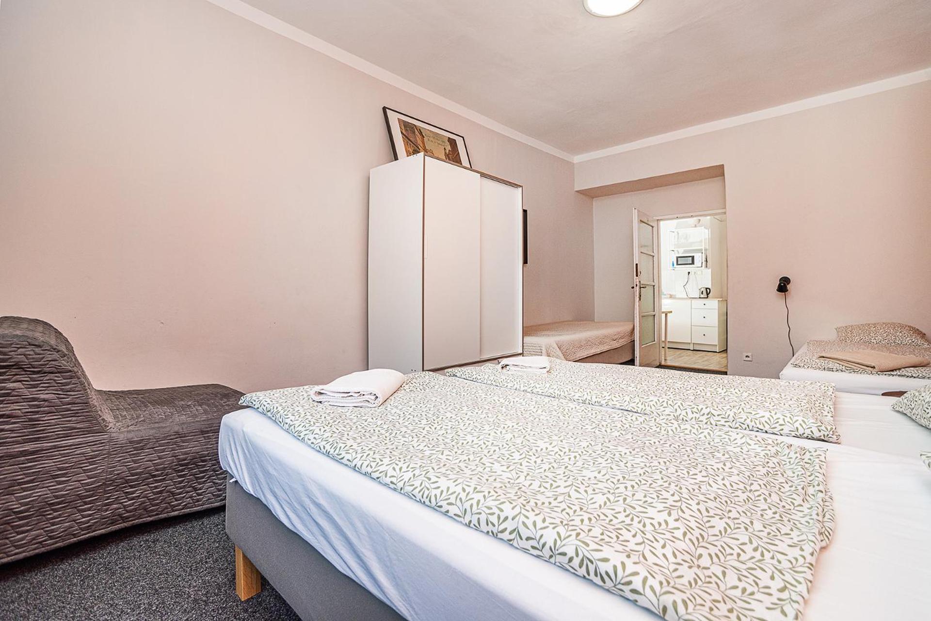 Flat in Zizkov -403-