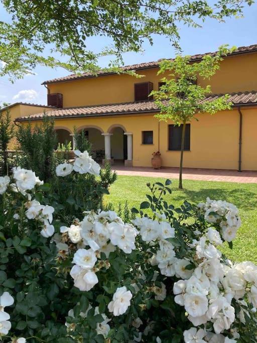 Il Casale, photo 41