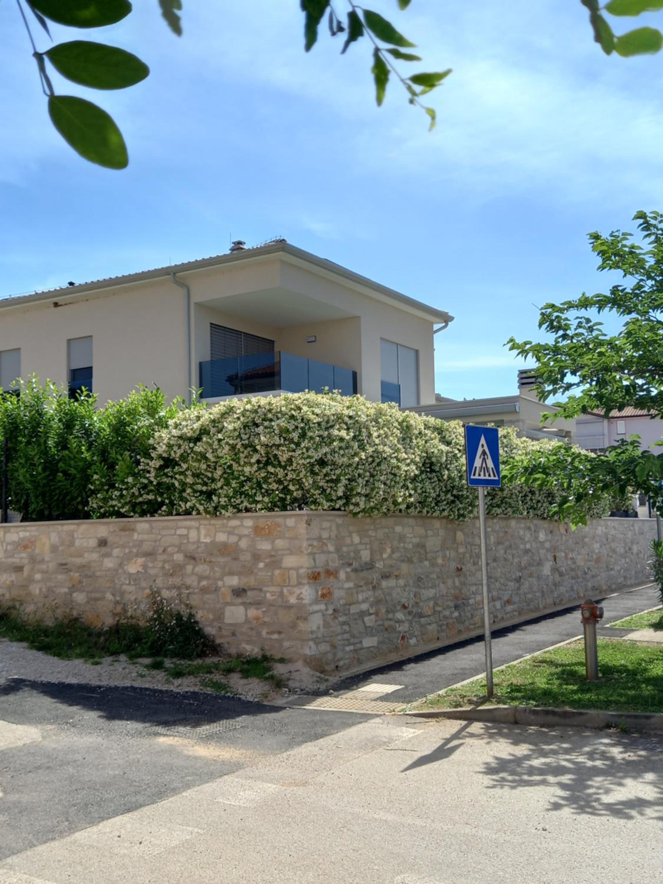Amarea