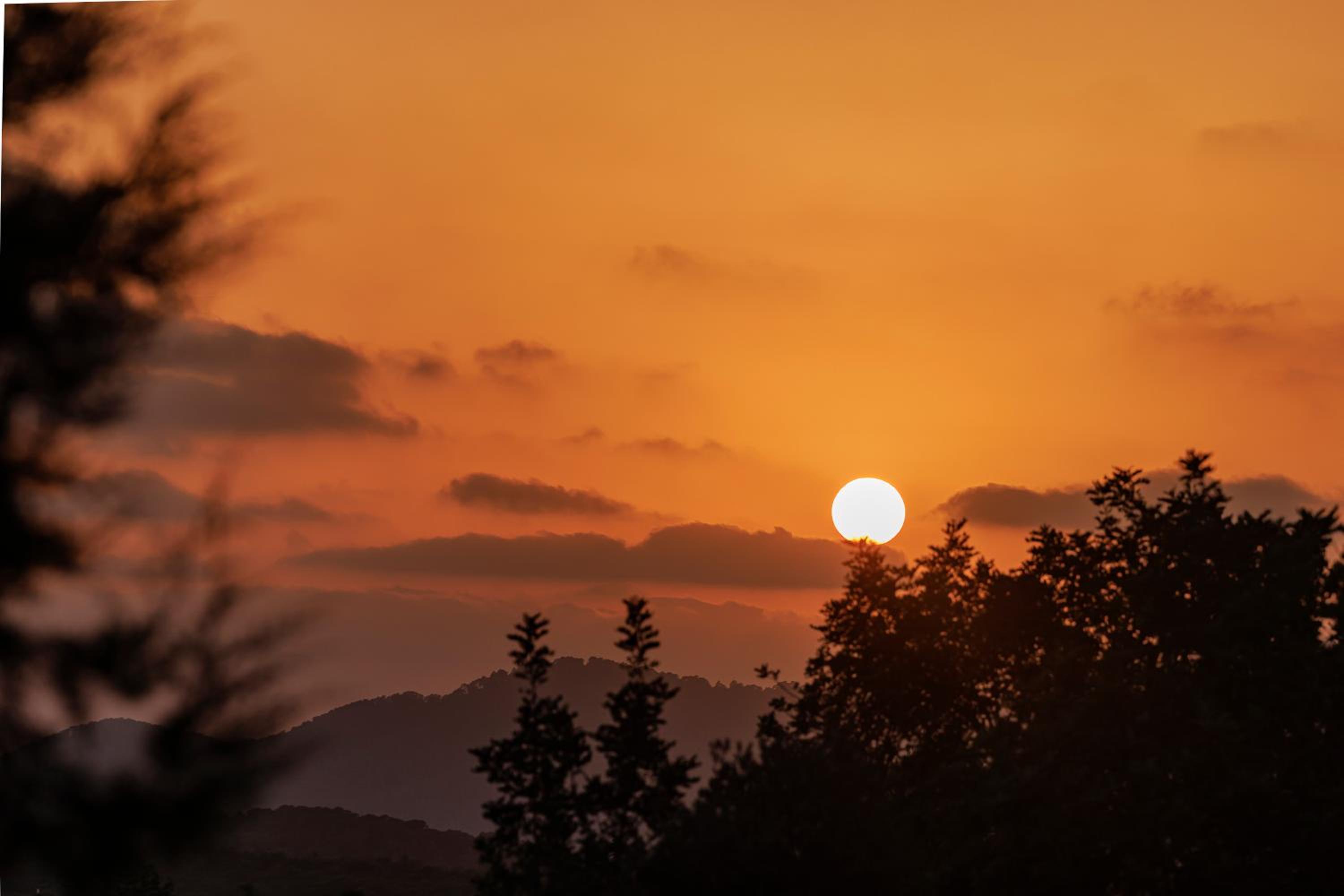 Can Lluc Boutique Country Hotel & Villas, a member of Beyond Green photo 5