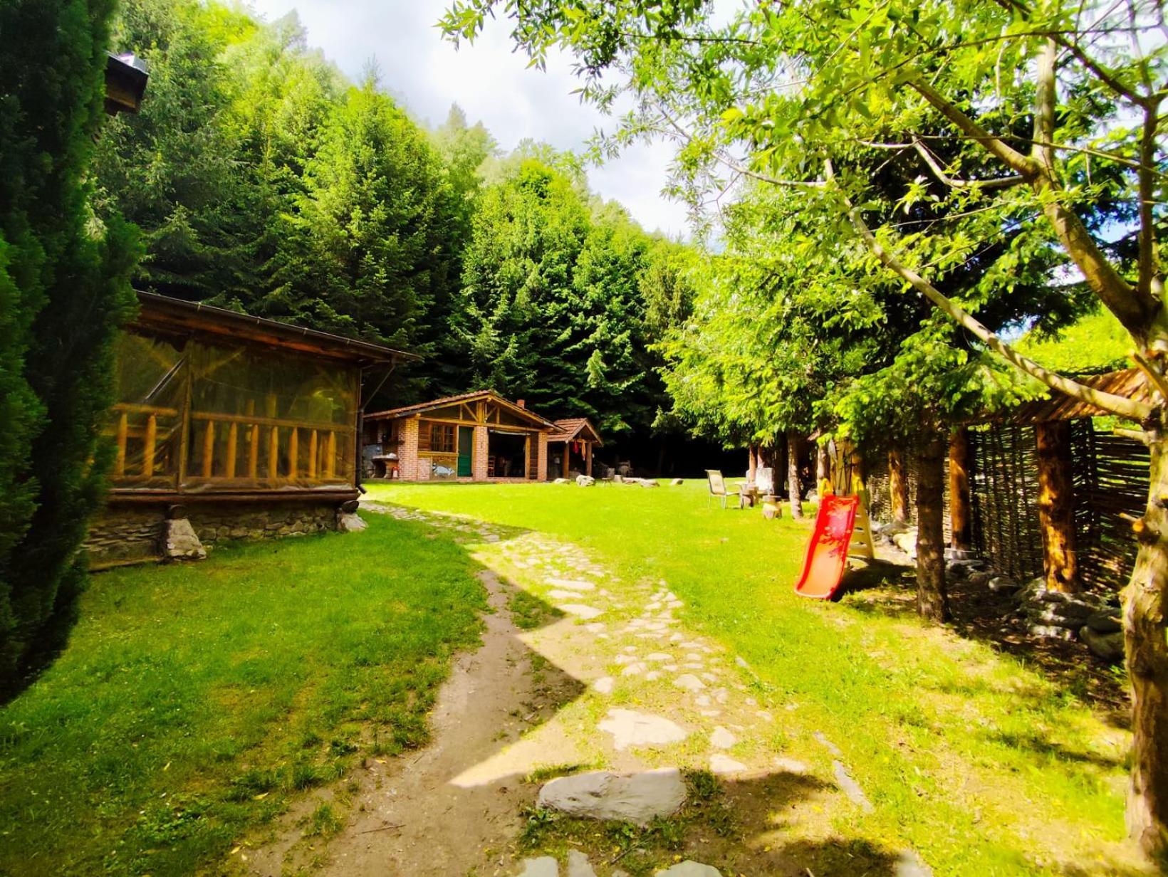 Photo 41