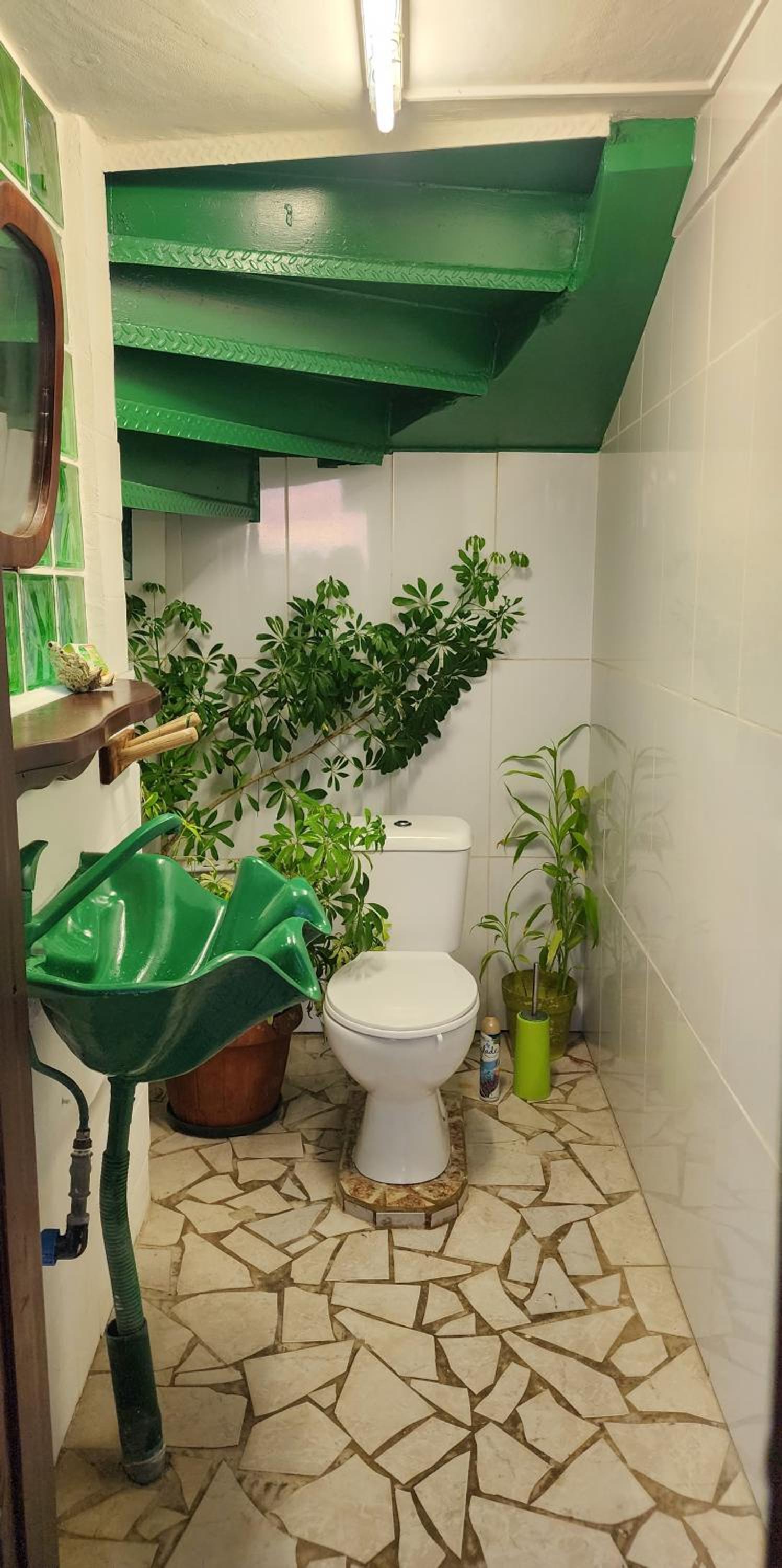 Pater Teura Homestay