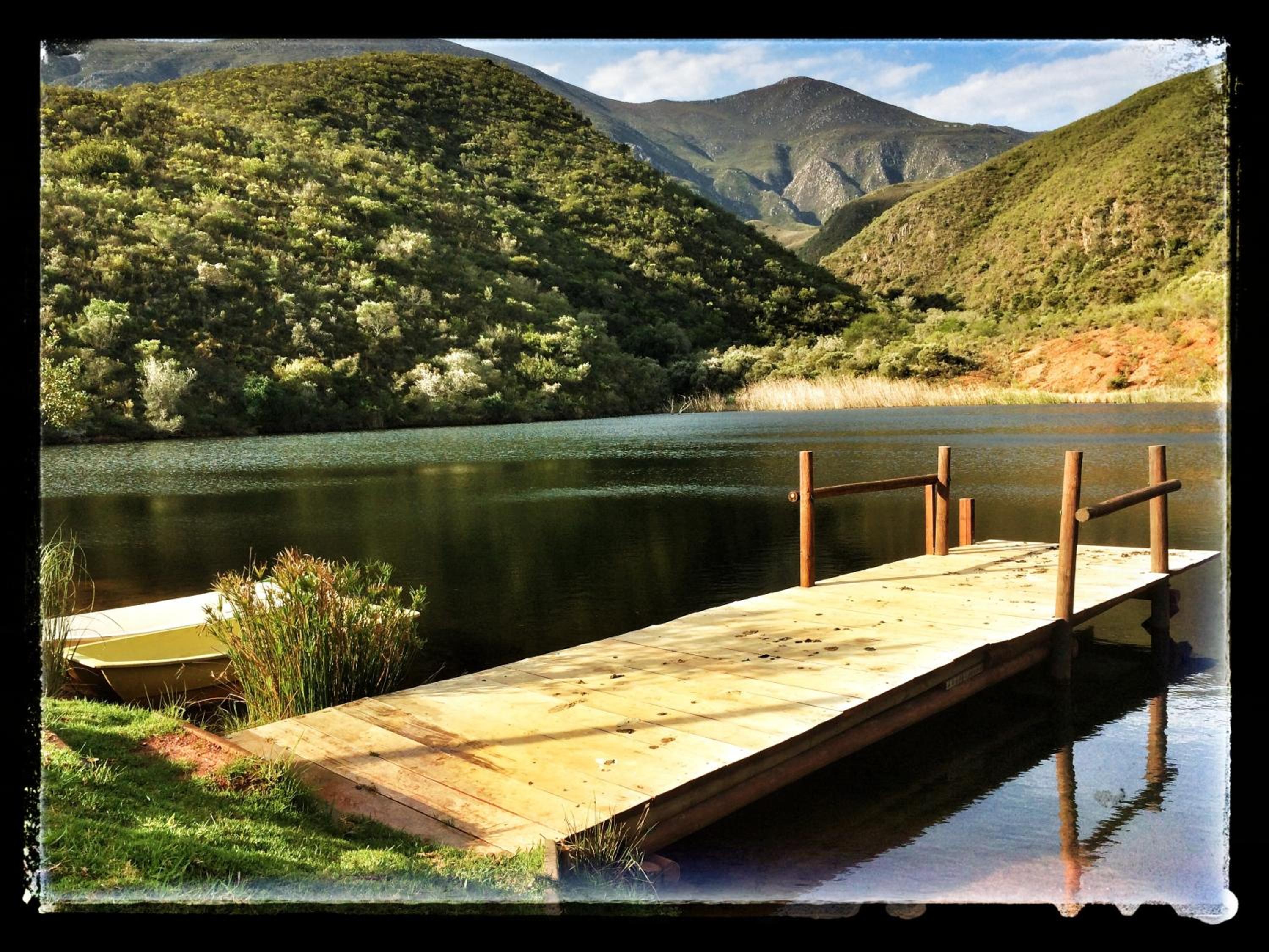 Pat Busch Mountain Reserve