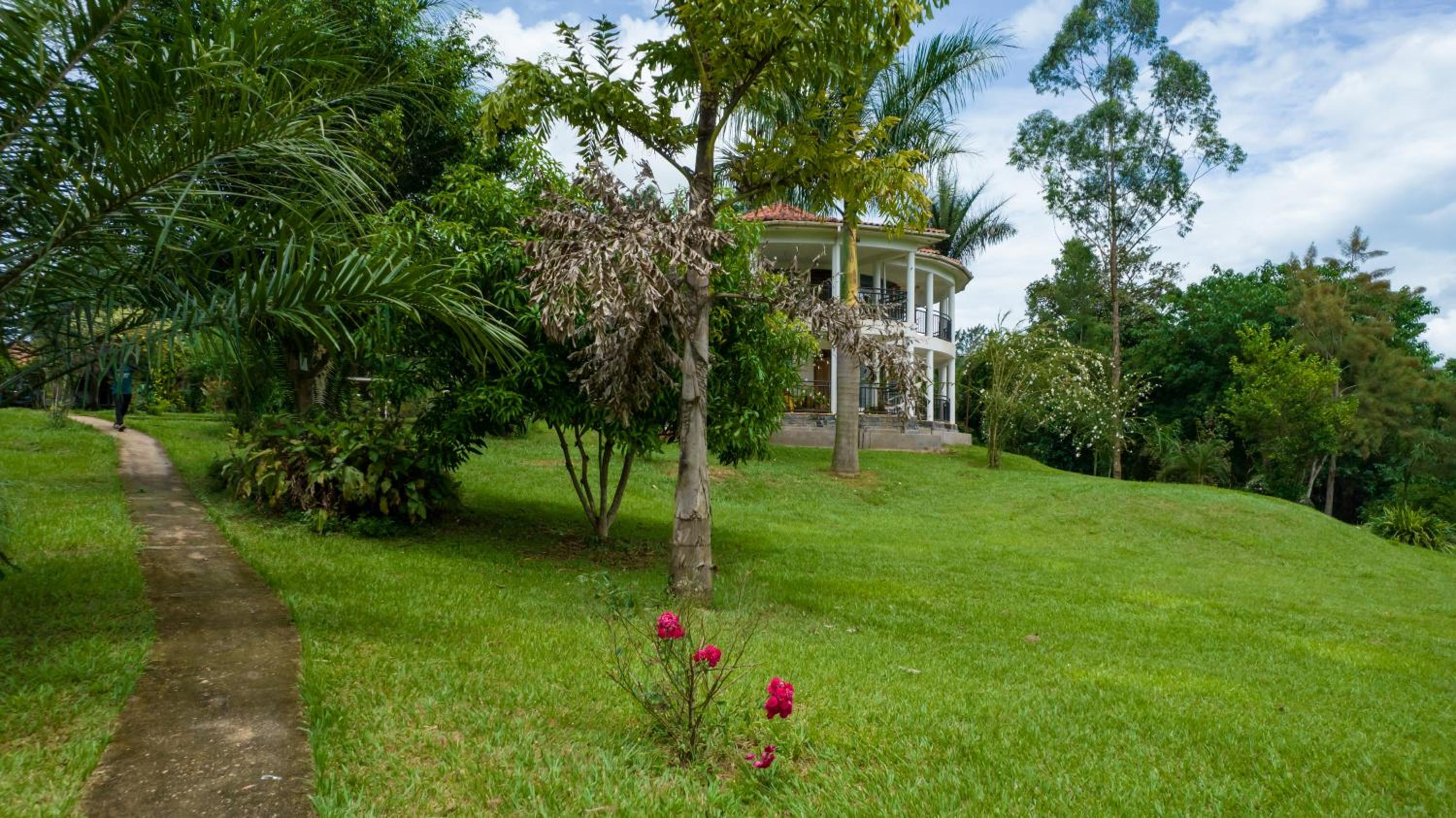 Photo 8