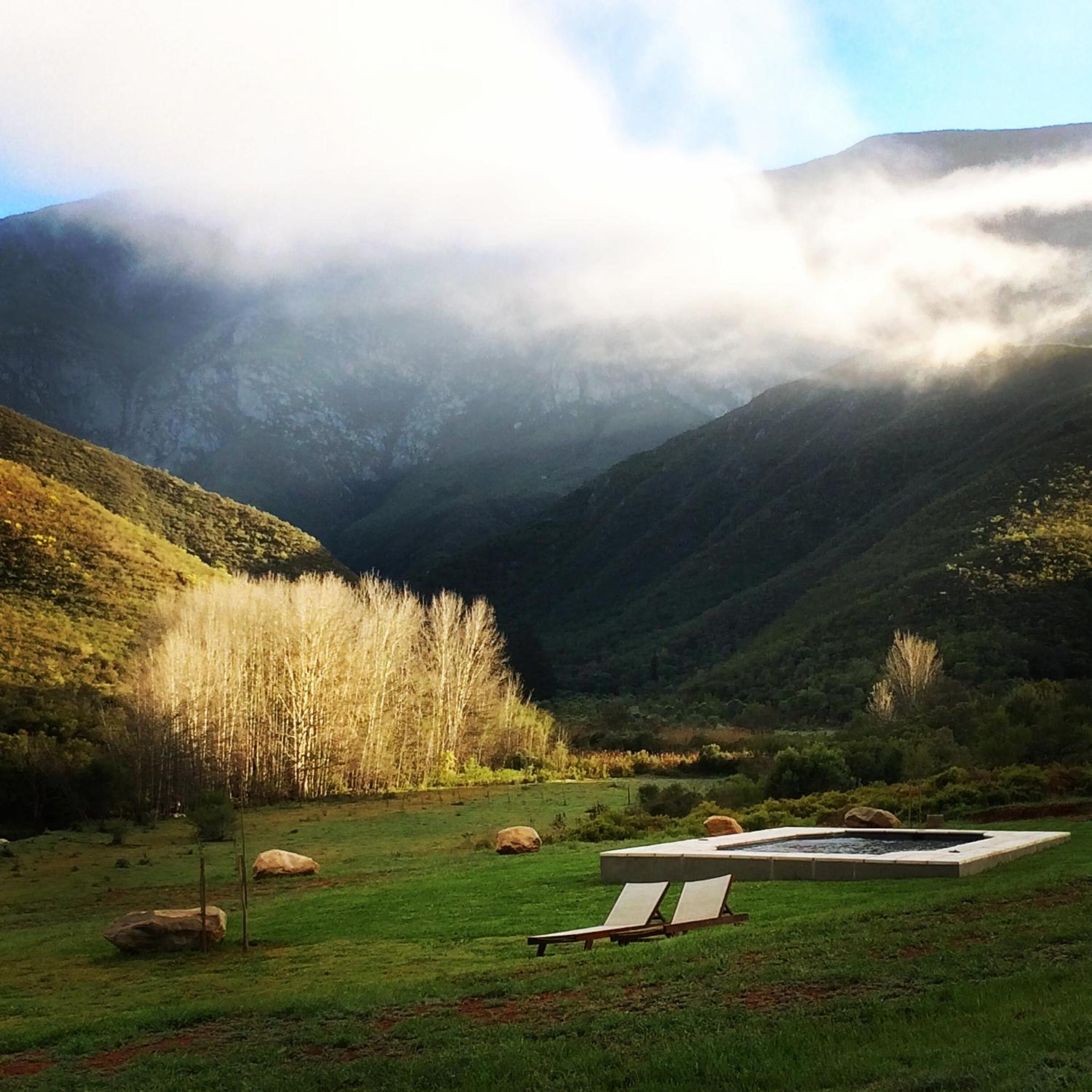 Pat Busch Mountain Reserve