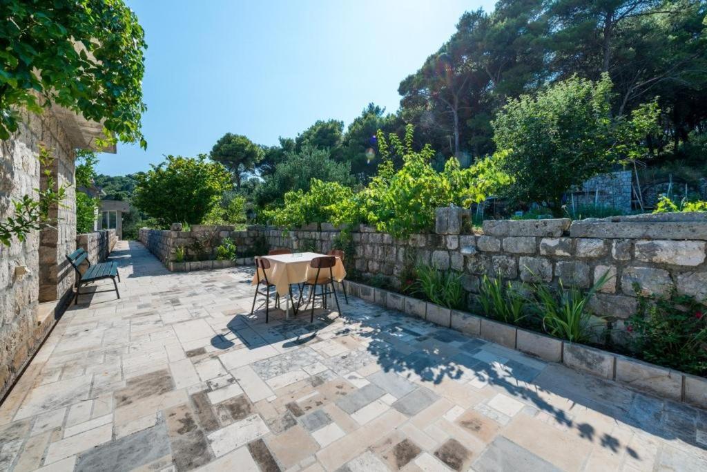 Apartments & Rooms Tapera