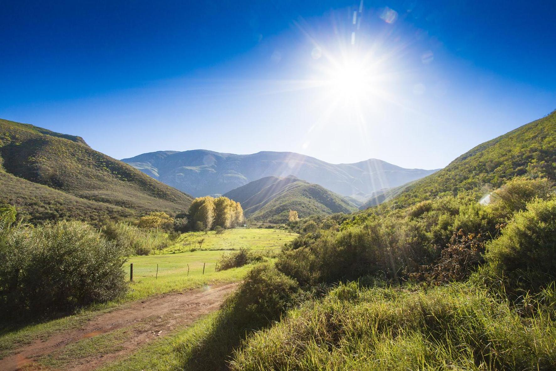 Pat Busch Mountain Reserve