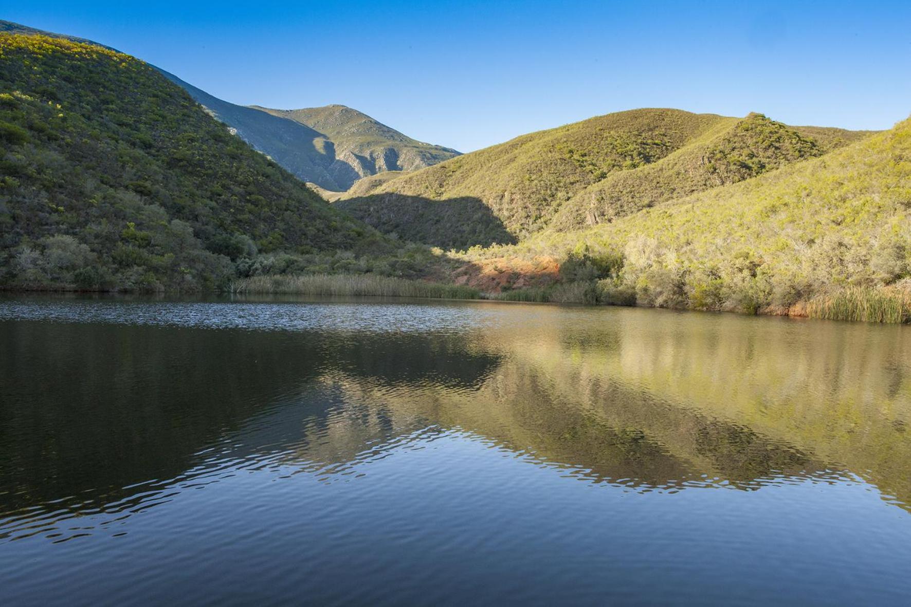 Pat Busch Mountain Reserve