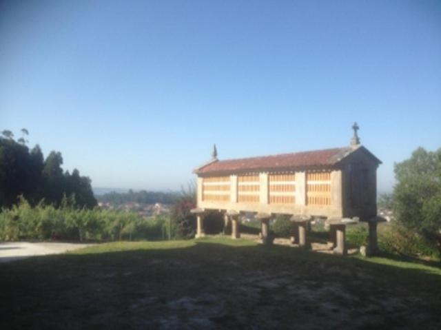 Casa Vicario photo 1