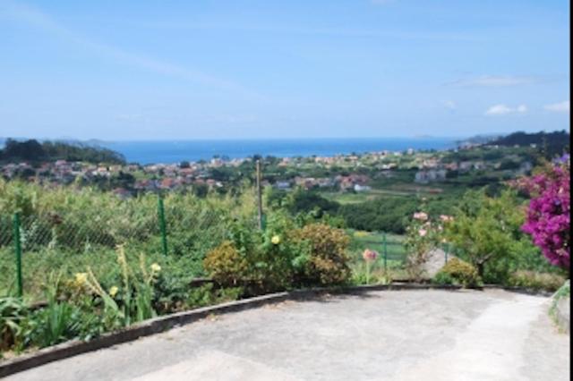 Casa Vicario photo 3
