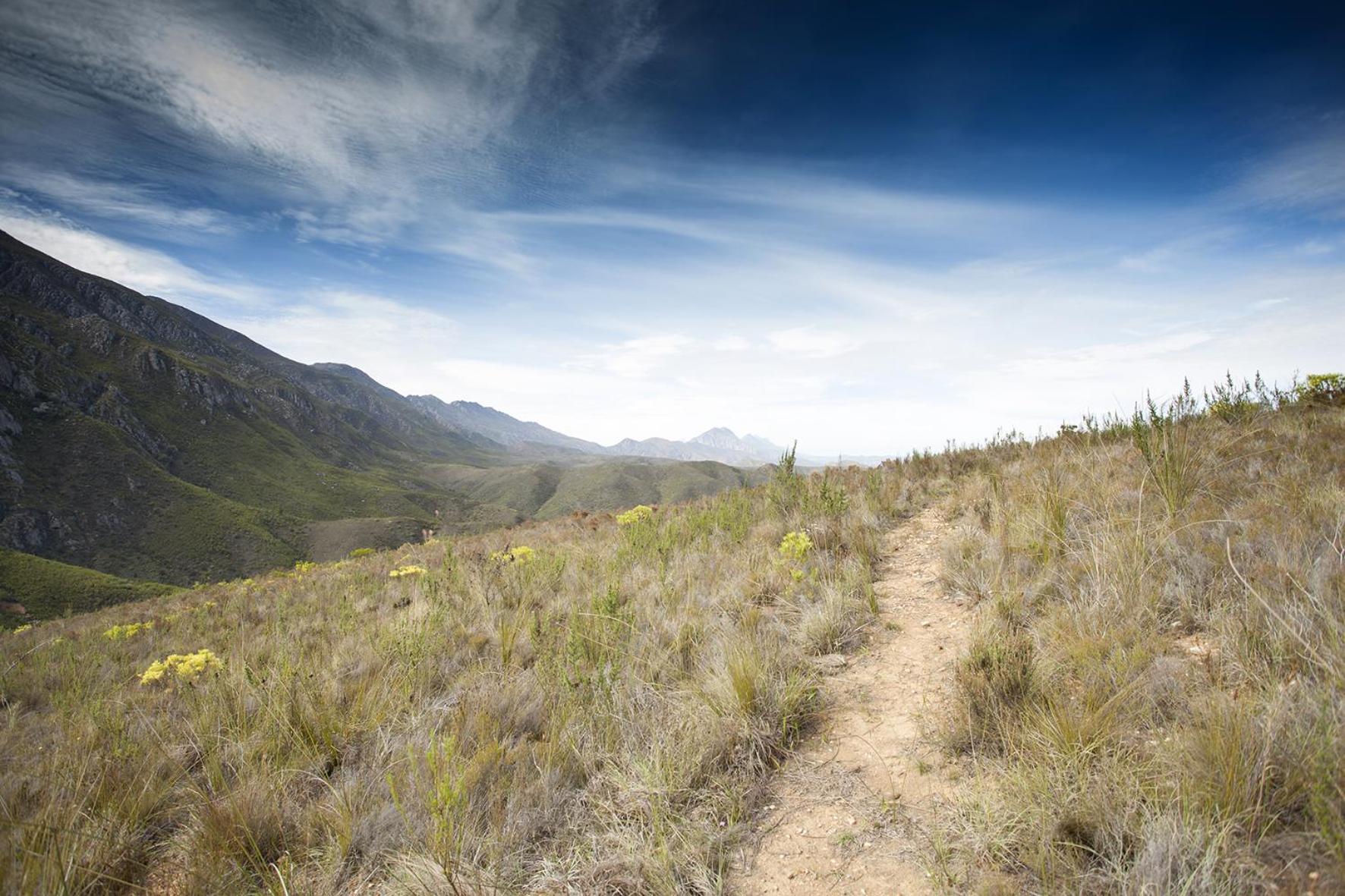 Pat Busch Mountain Reserve
