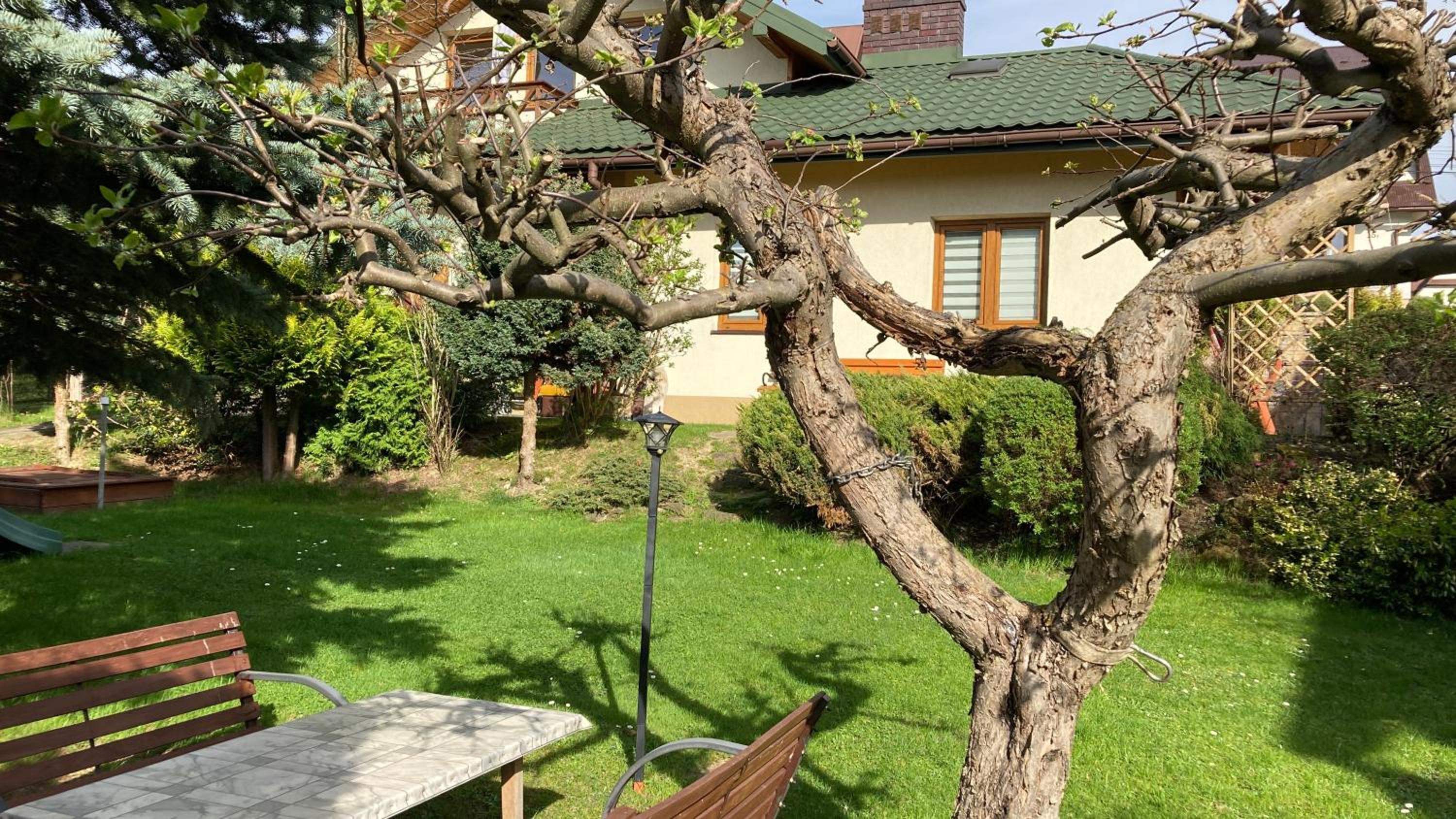 APARTAMENTY-STUDIO noclegi wczasy wakacje ferie - pobyty rodzinne, photo 27