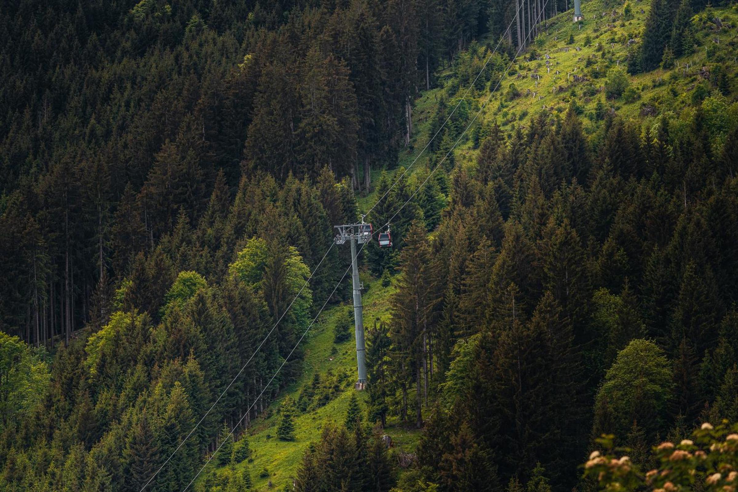 Hahnenkamm Hostel