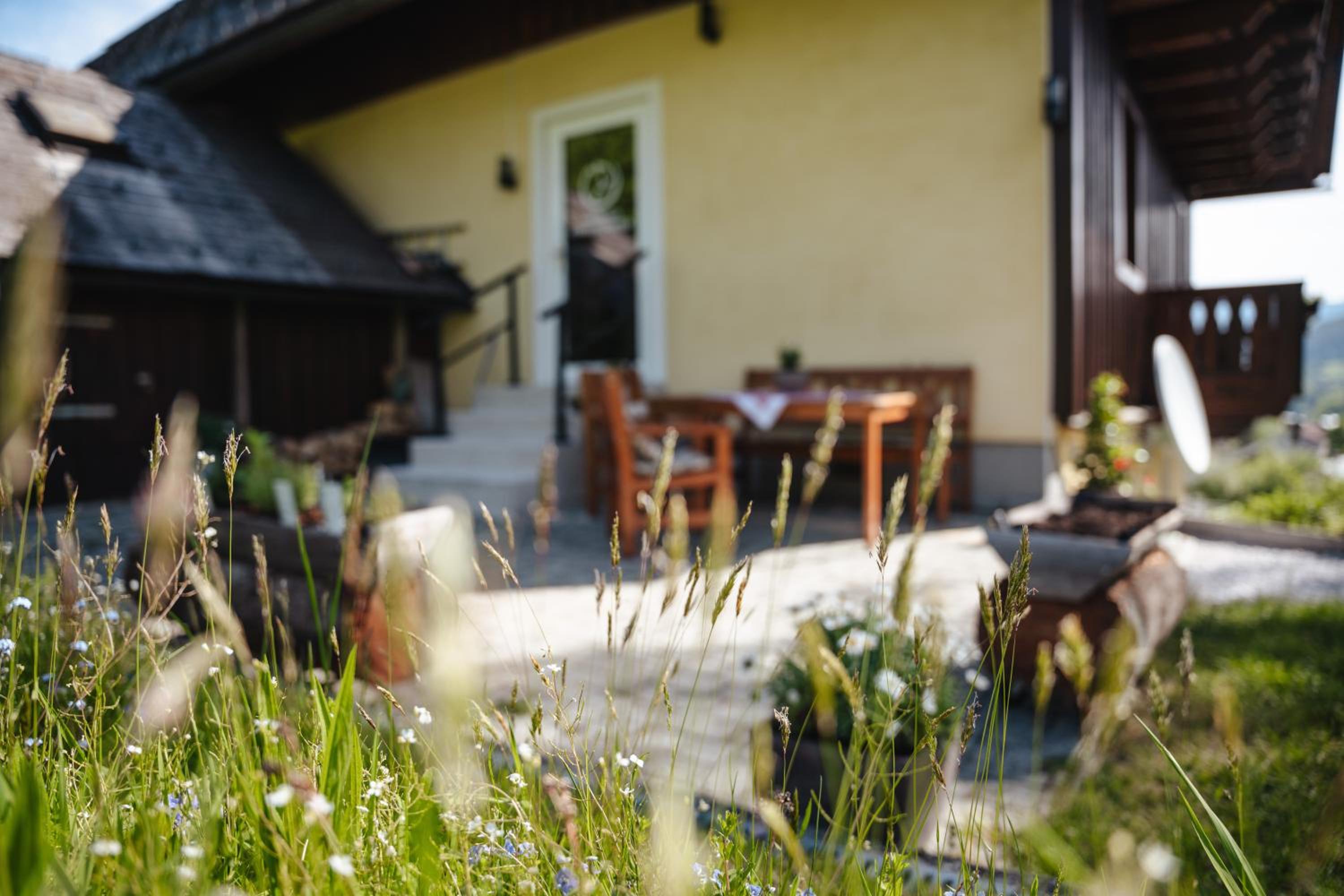Landhaus Stieglschuster, middle of 5-Skiarea & mountain view 360