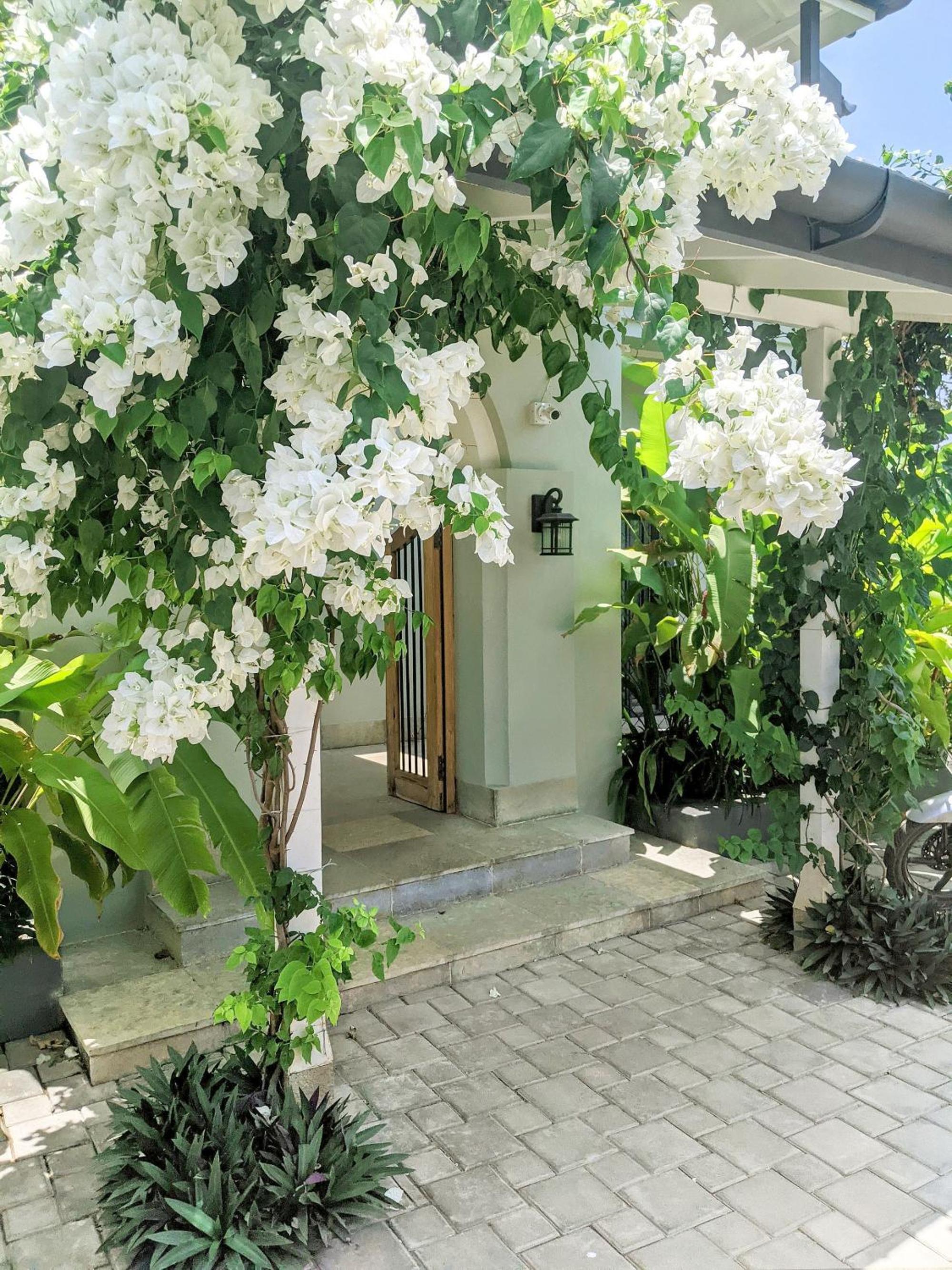 SaffronStays Belle Maison - 3BR French style luxury villa with pool, bougainvillae views & alfresco dining near Kihim Beach view 3
