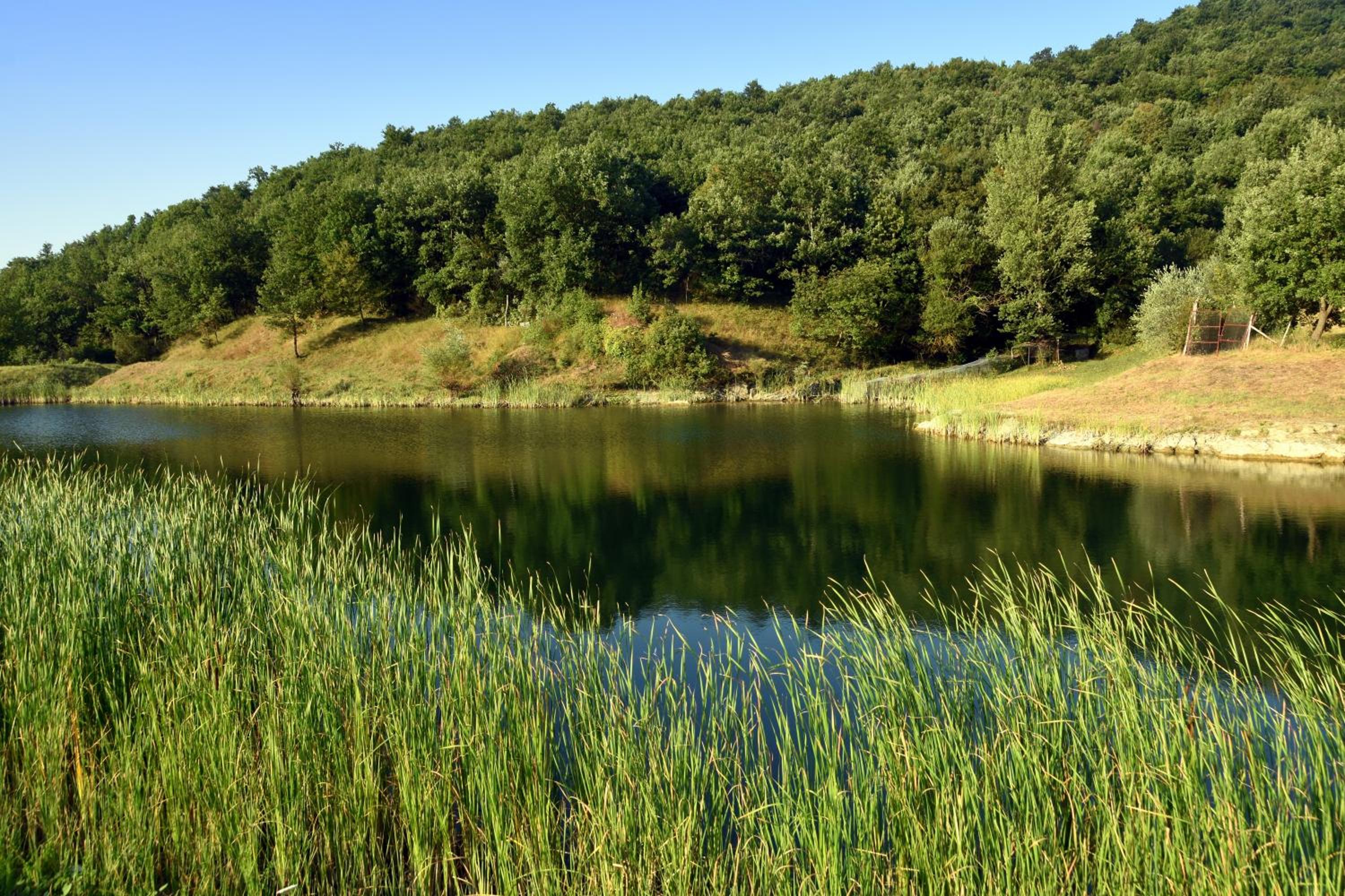 Baciano Azienda Agrituristico Venatoria