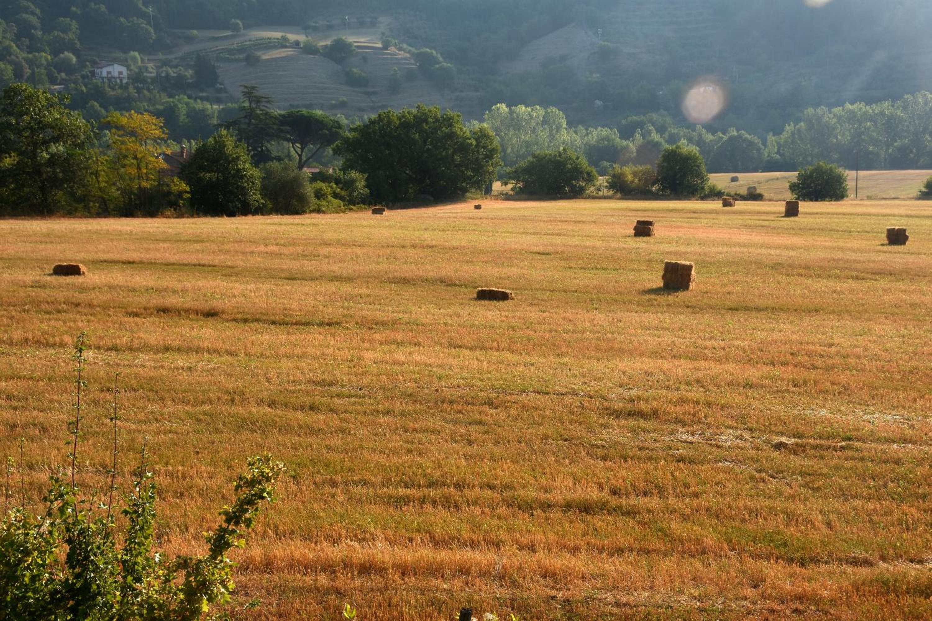Baciano Azienda Agrituristico Venatoria