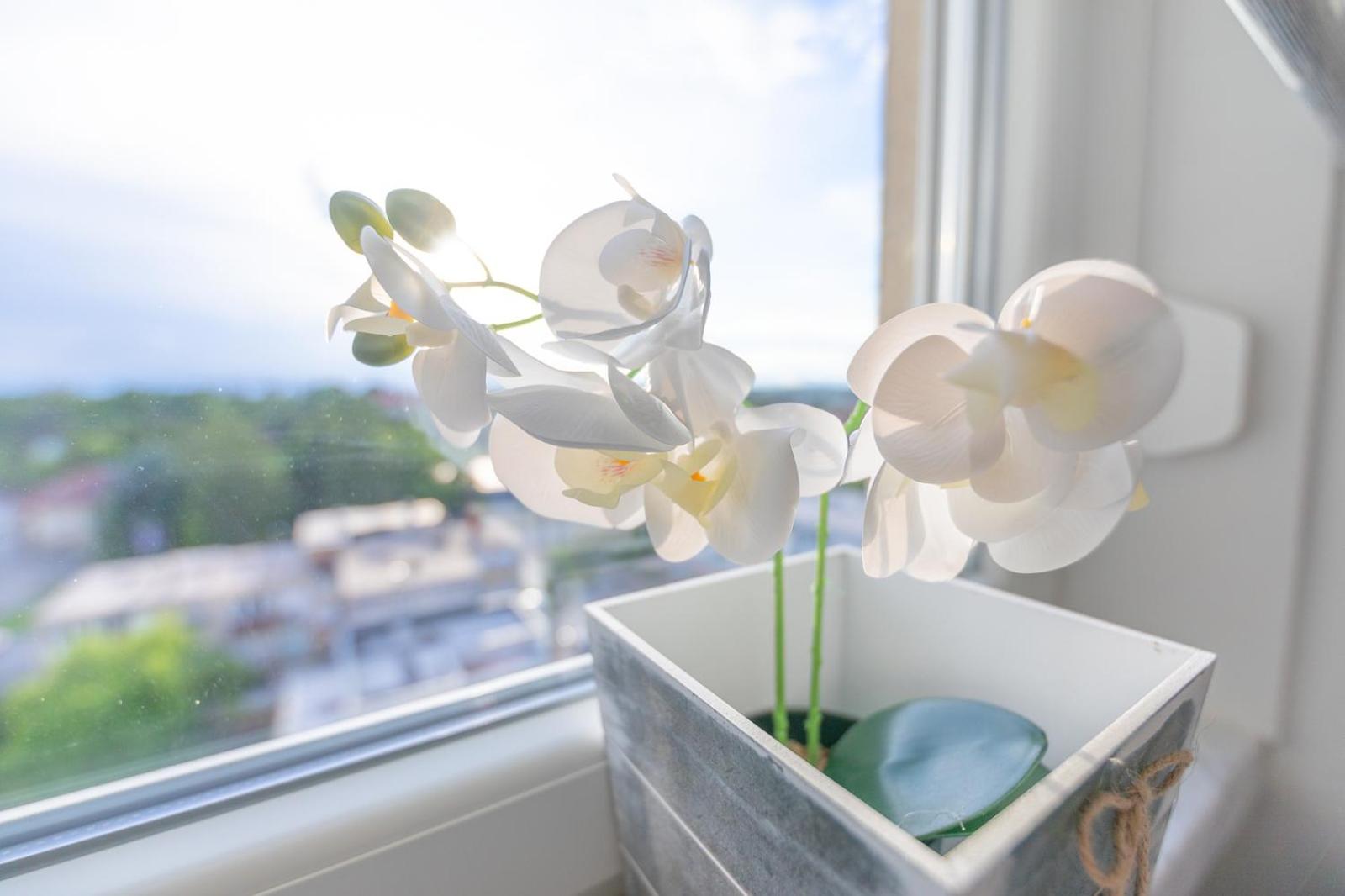 Apartman Nora
