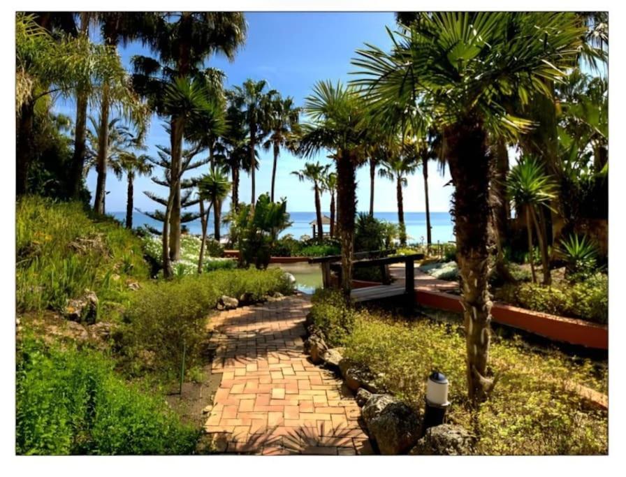 Marbella Vacations - Bajo en Marbella - Property Image 5