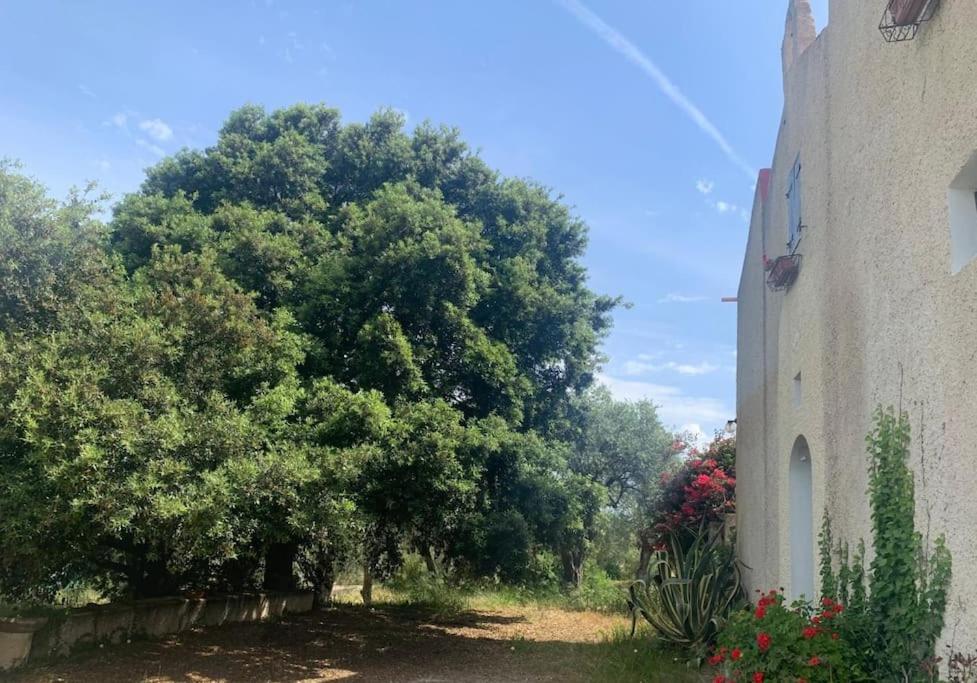 Photo 19
