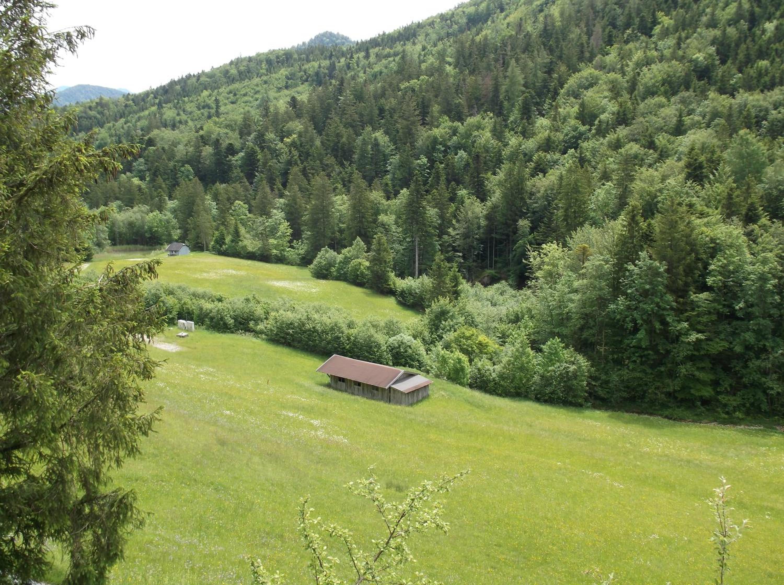 Kleine einfache Ferienwohnung in malerischer Umgebung Salzburgs