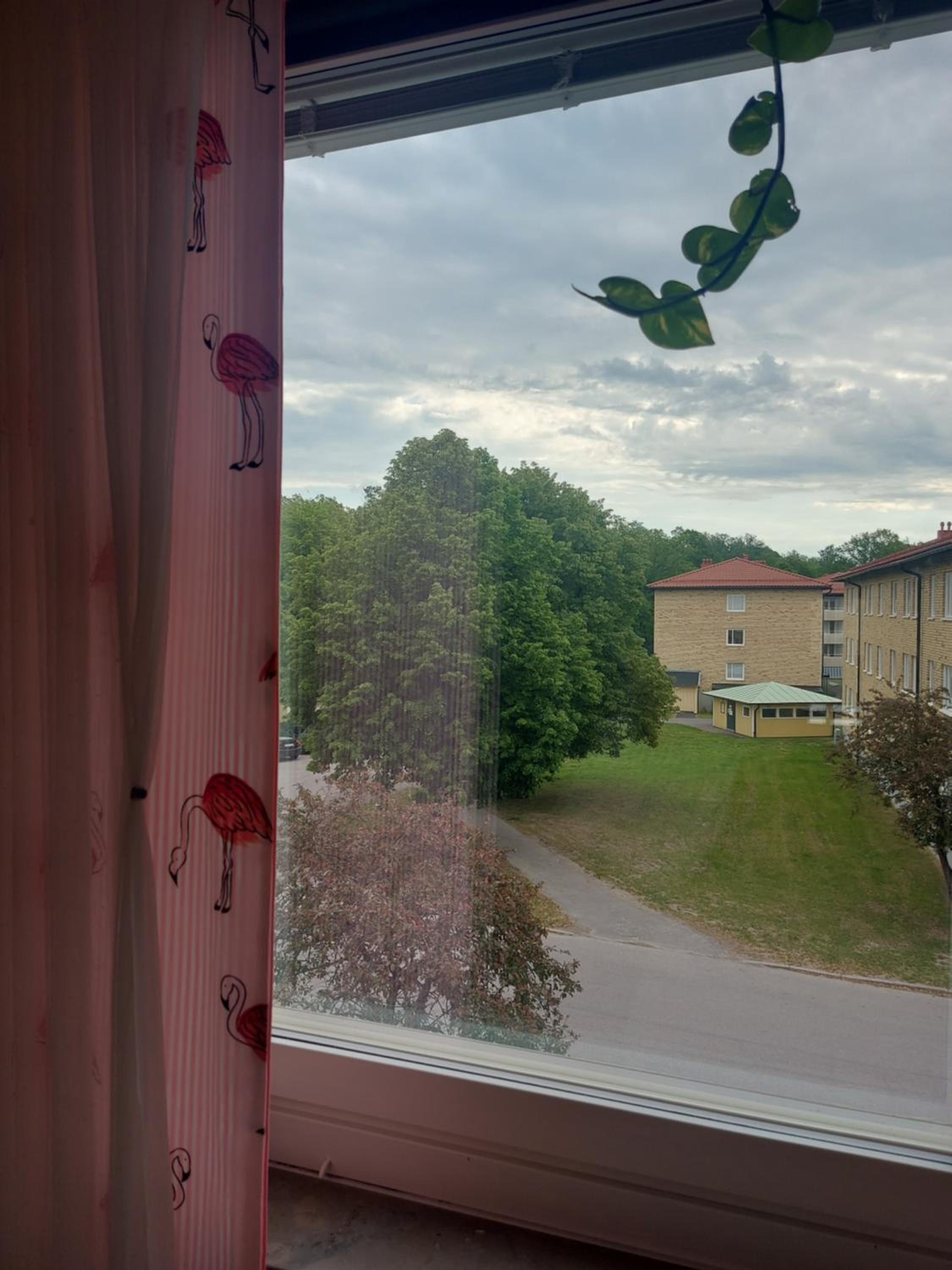 Photo 29