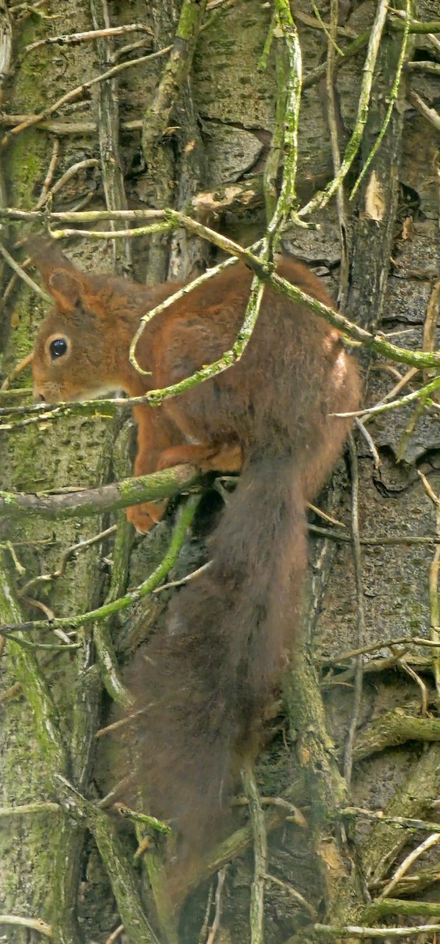 Photo 36