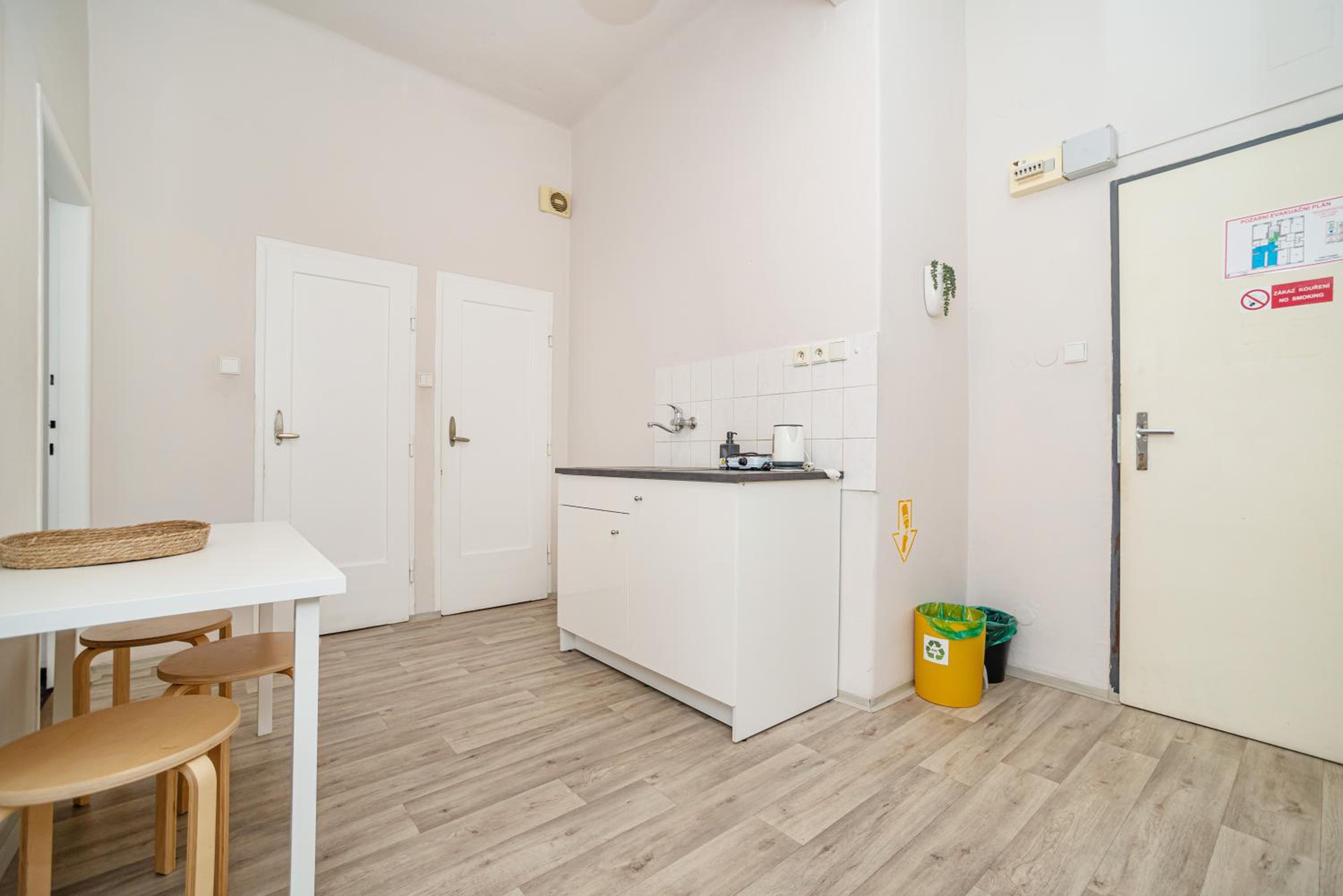 Flat in Zizkov -303-