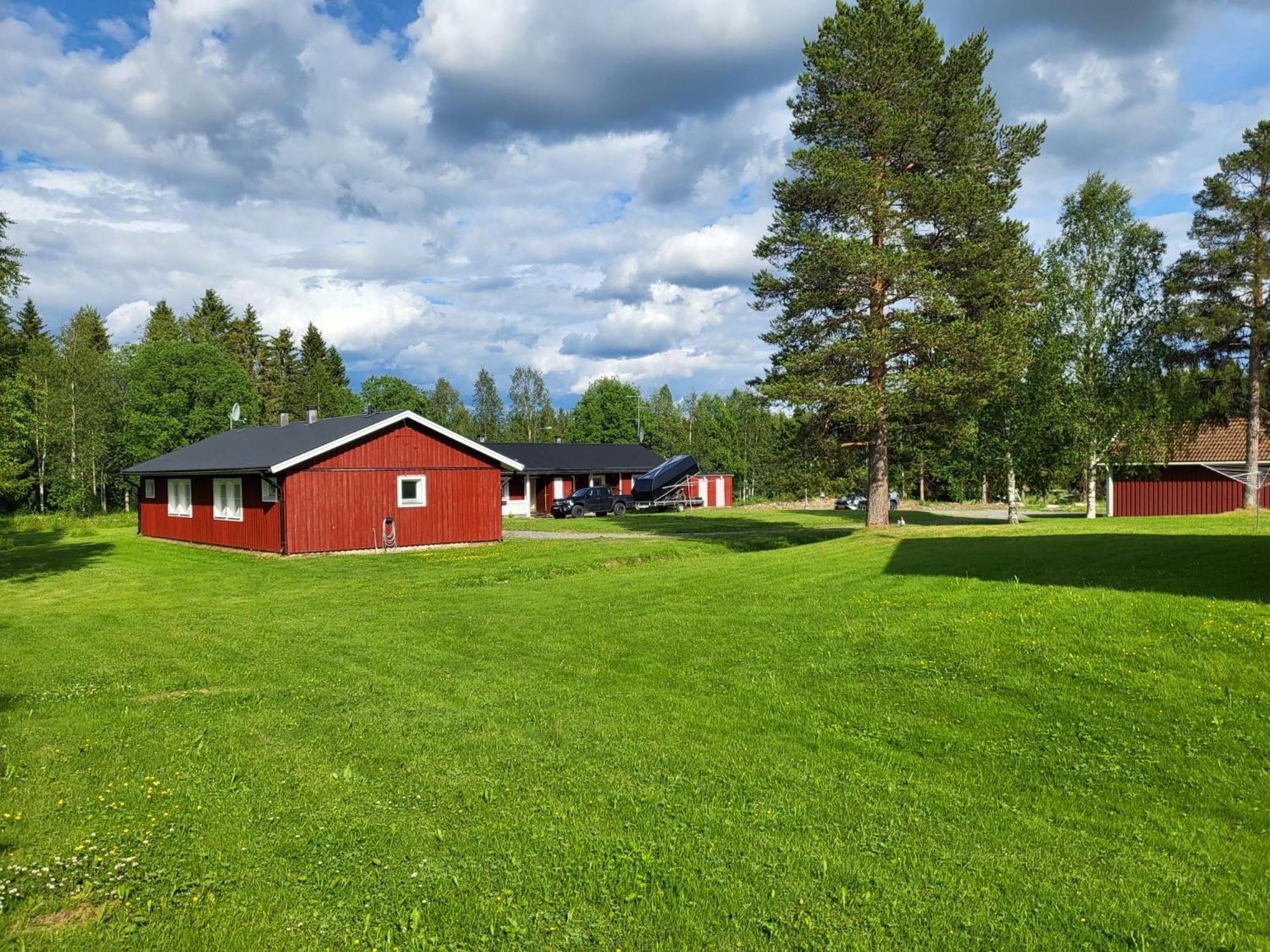 Dream Camp
