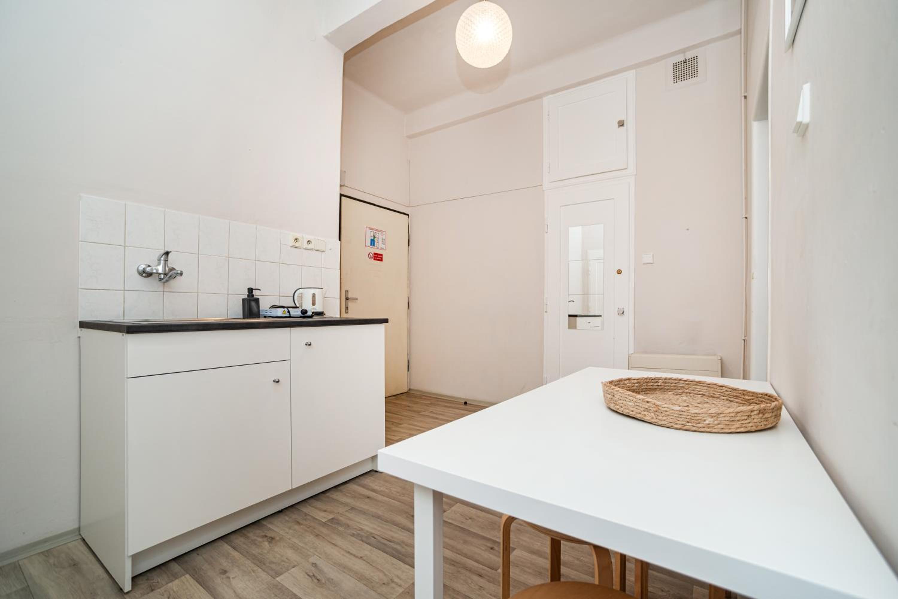 Flat in Zizkov -303-