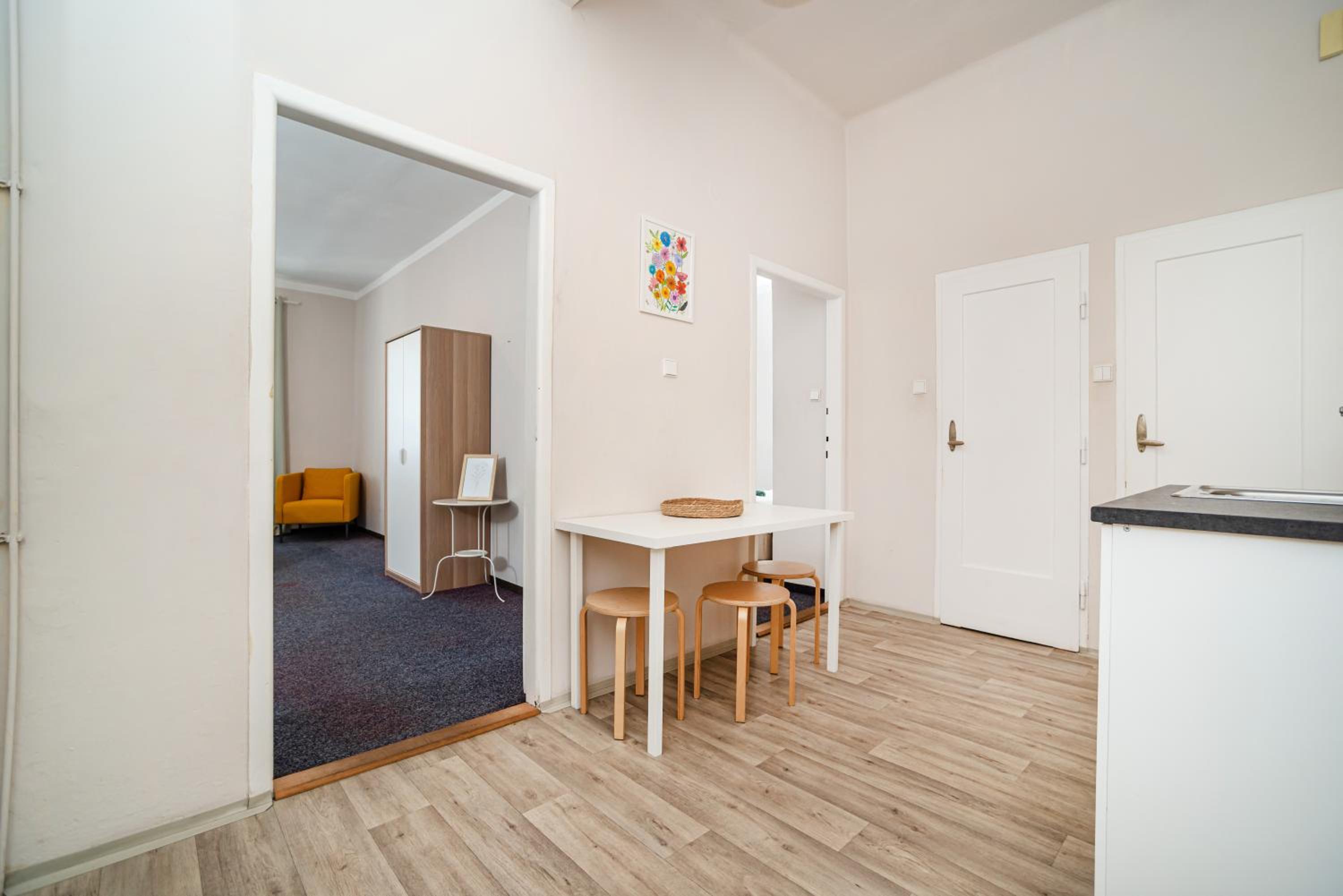 Flat in Zizkov -303-