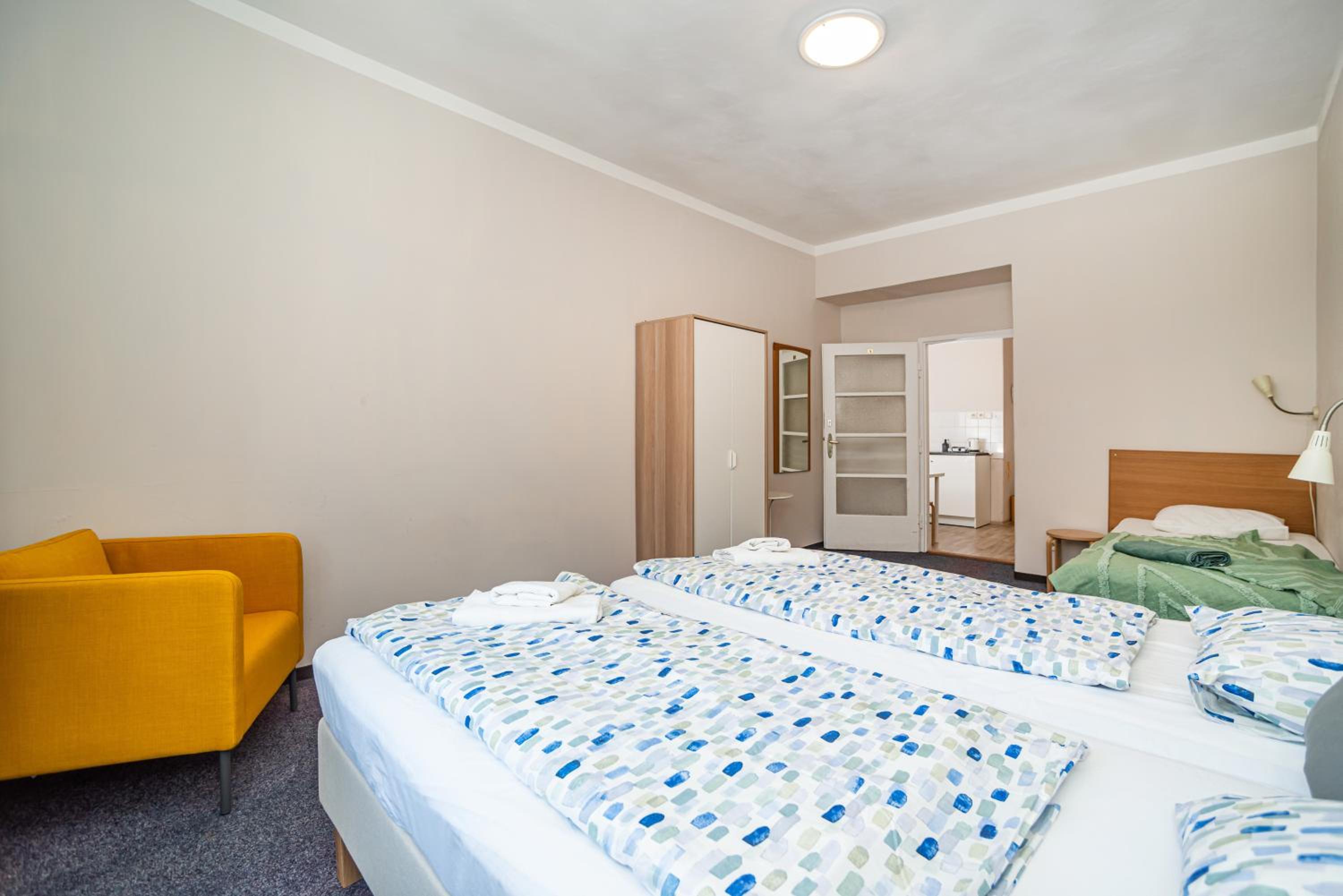 Flat in Zizkov -303-
