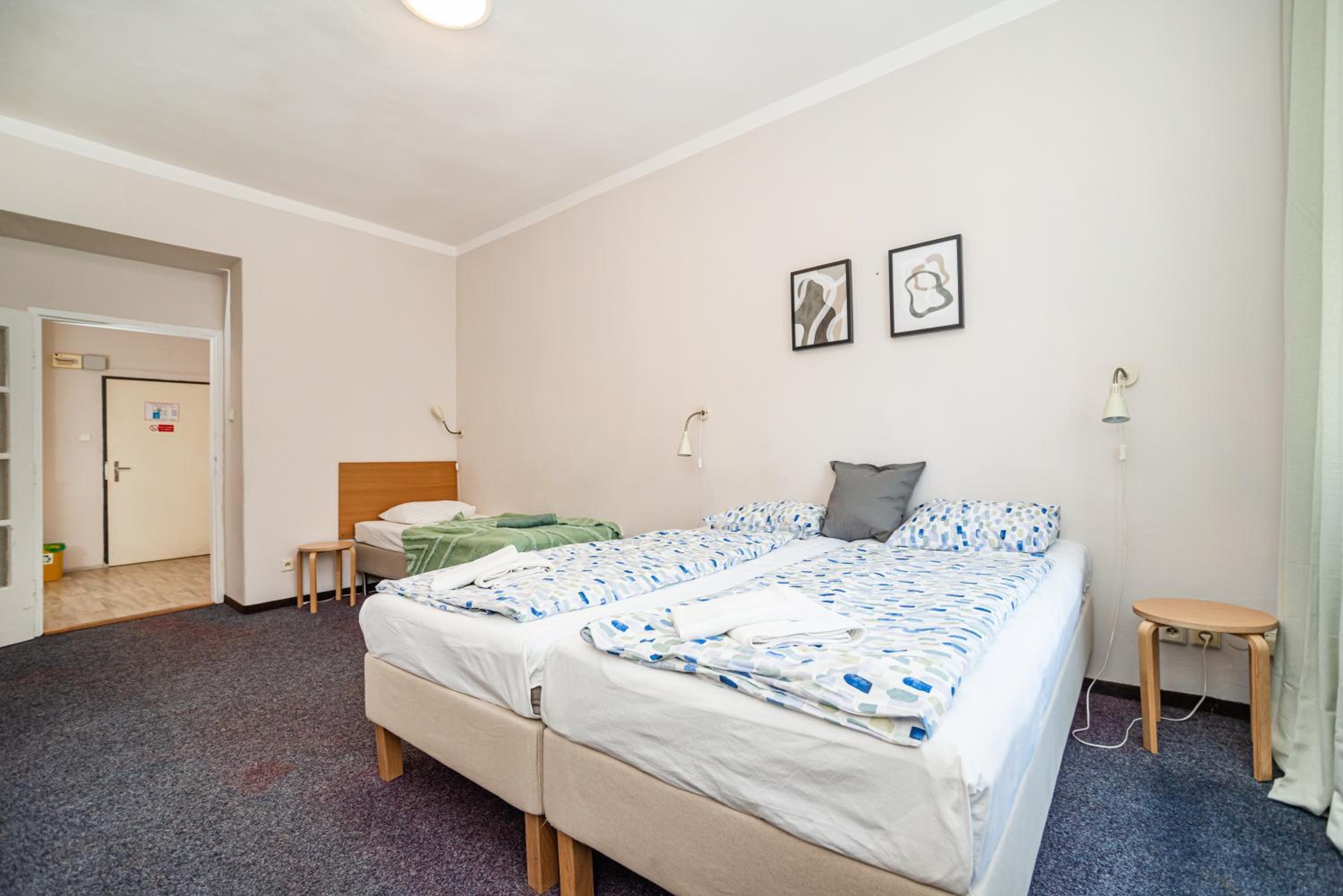 Flat in Zizkov -303-