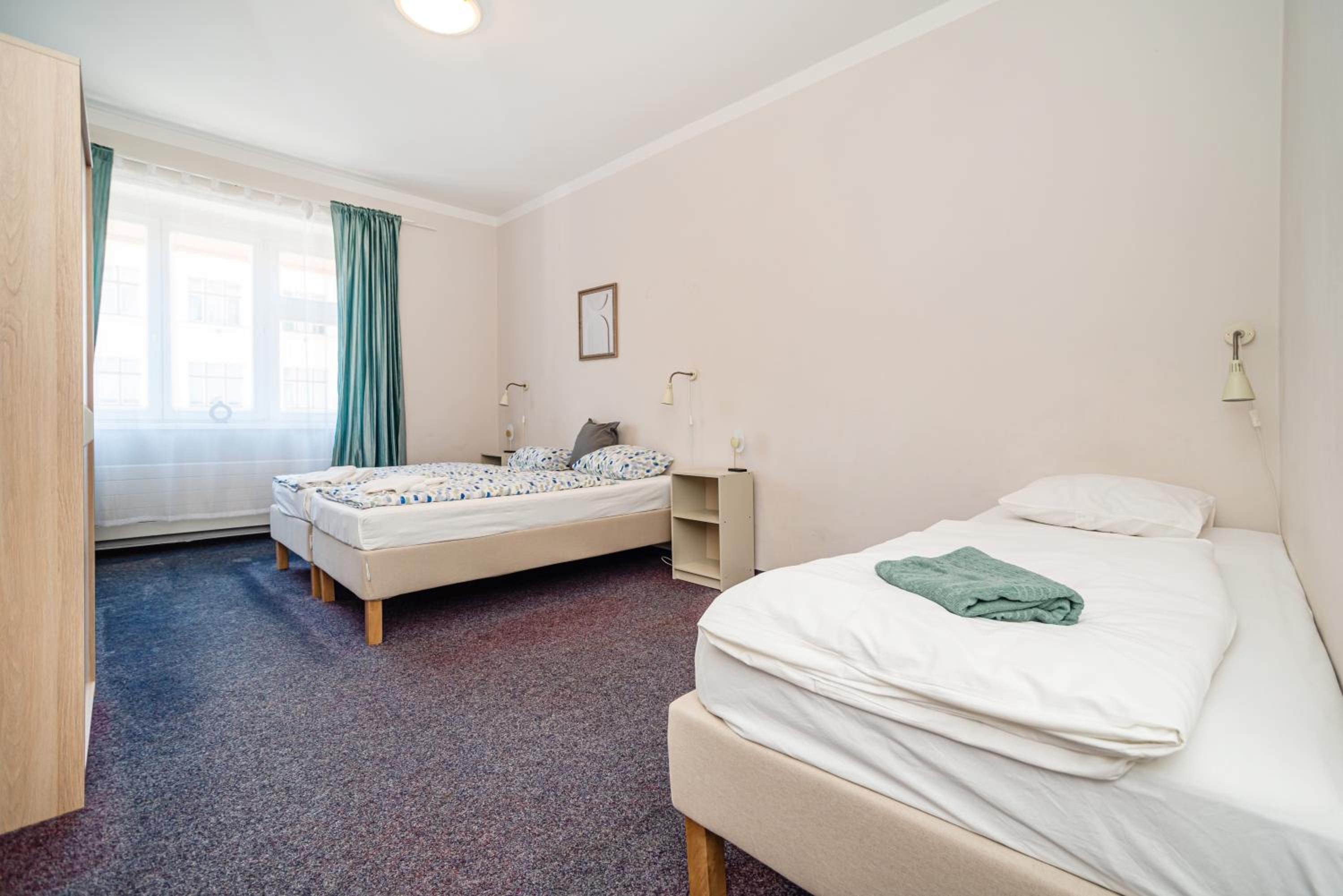 Flat in Zizkov -303-